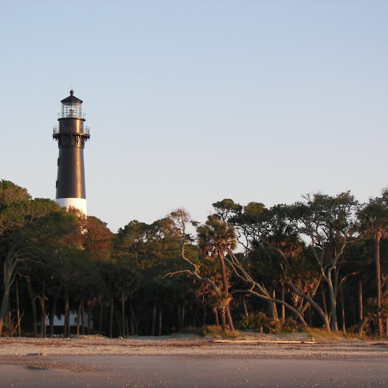 Tall black and white lighthouse partially obscured by cluster of trees along a sandy beach