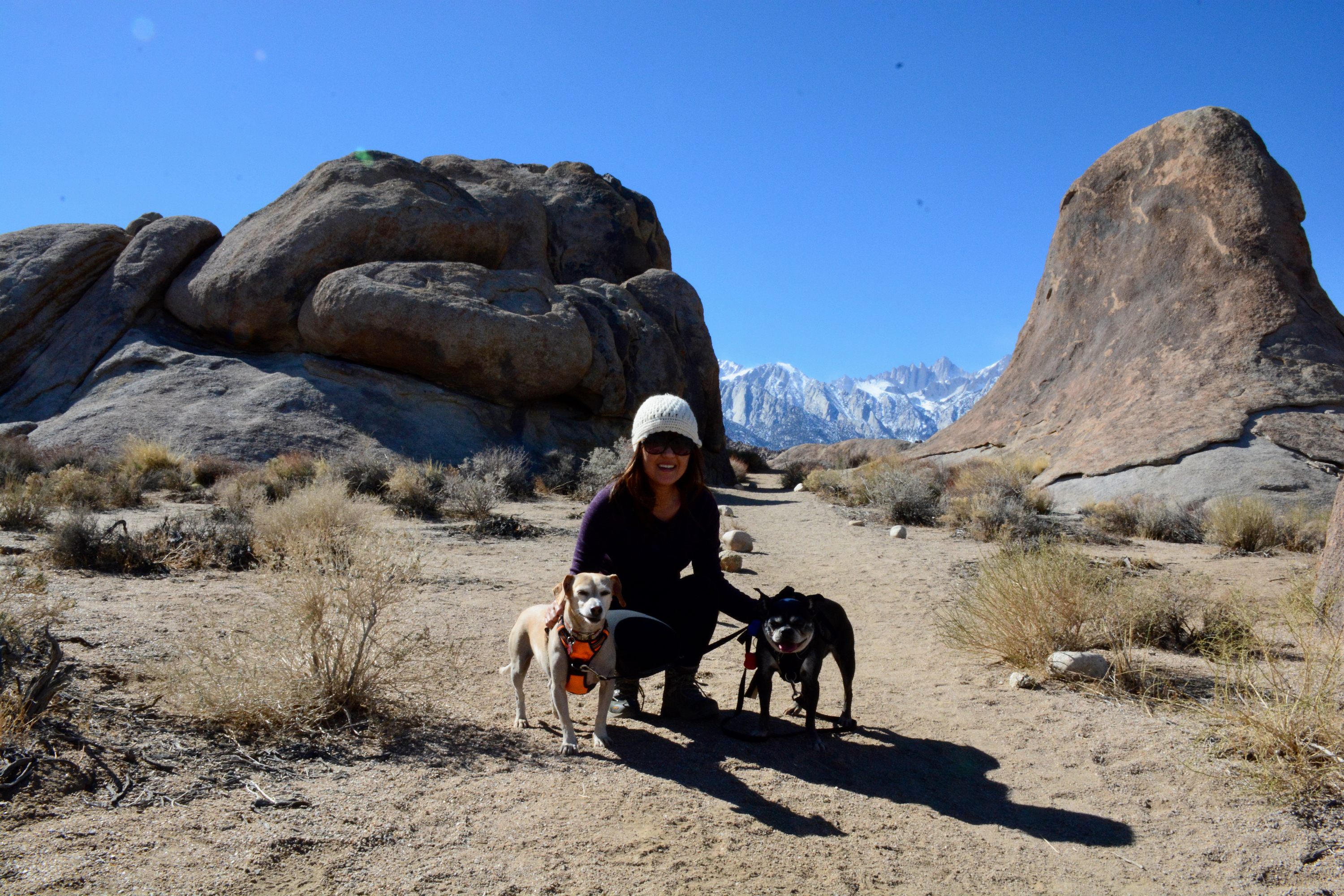 Dr. Na and her two dogs on a hike in the desert. 