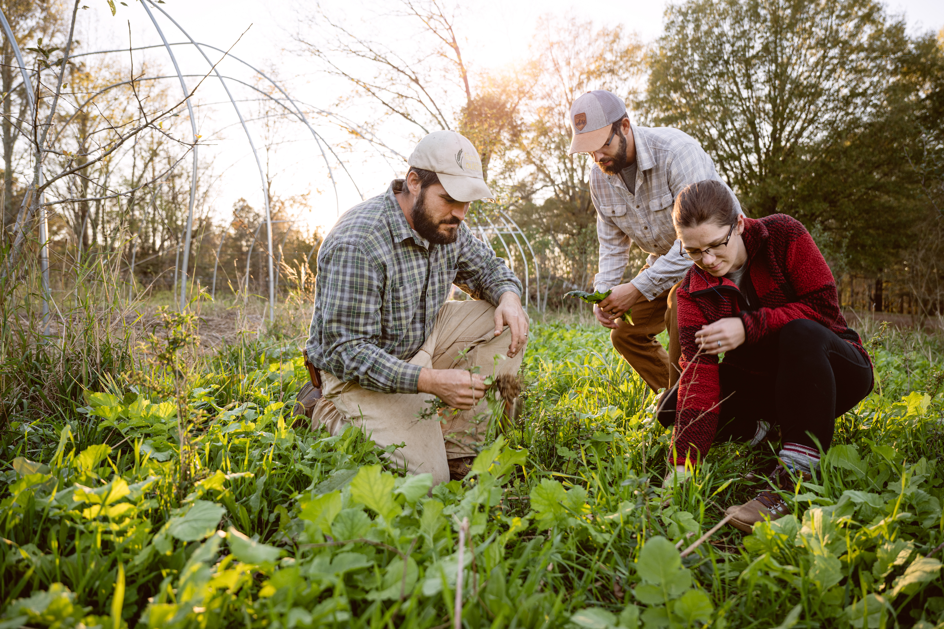 Todd & Marcia Schabel looking at crops with a farmer.