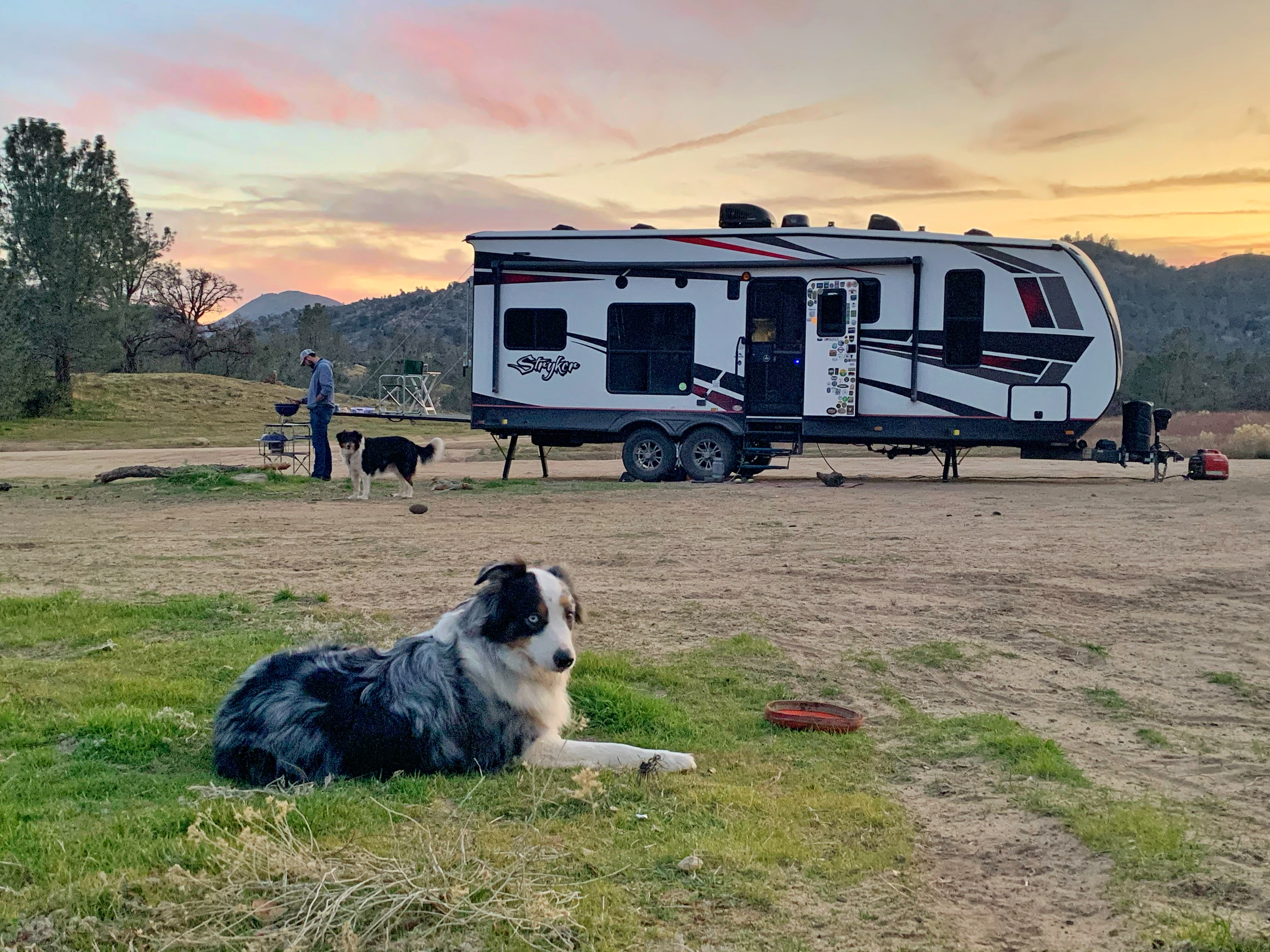 A dog sits in some grass in front of an RV boondocking.