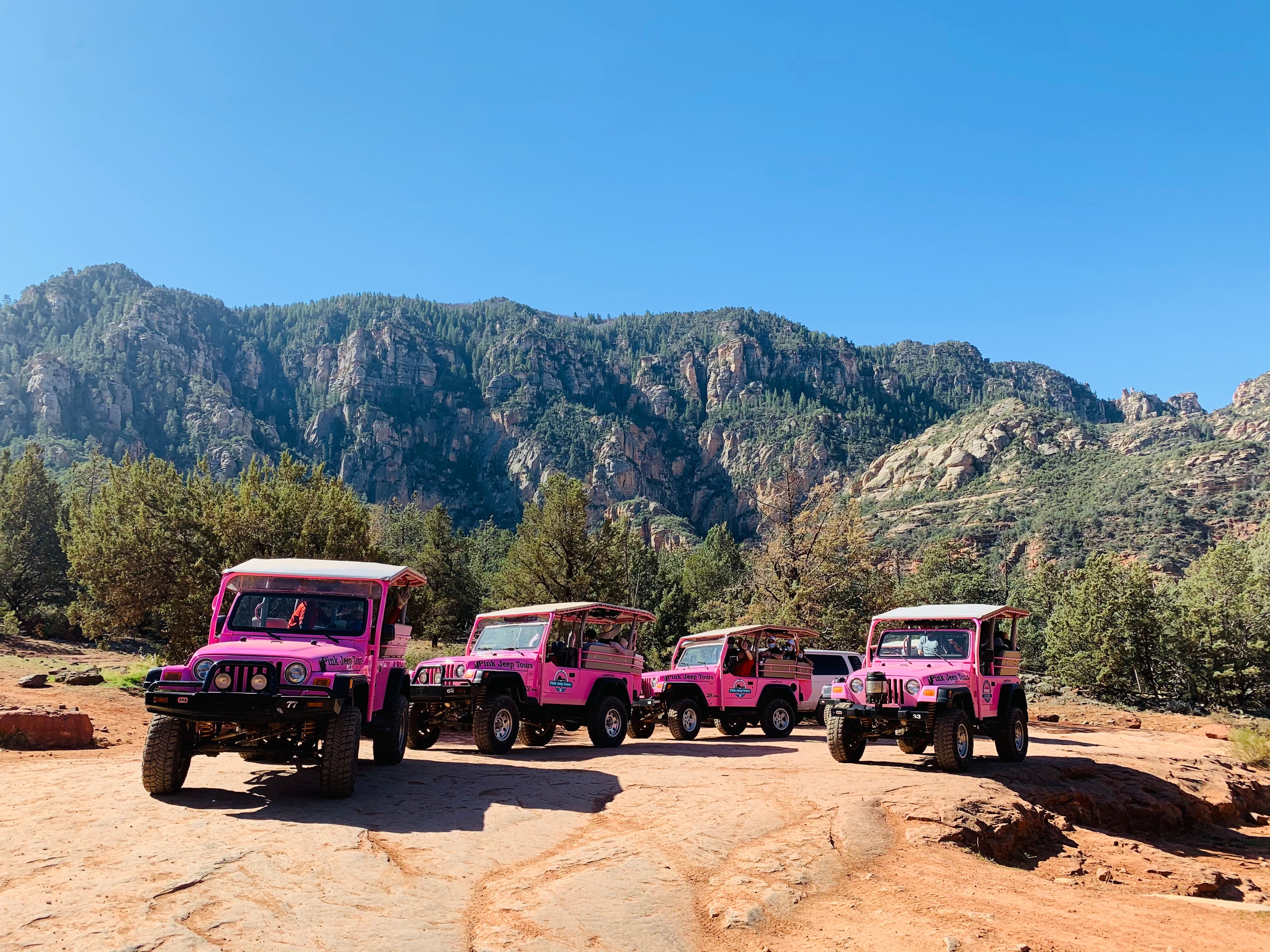 Pink jeeps at Brenda and Tiger's jeep tour