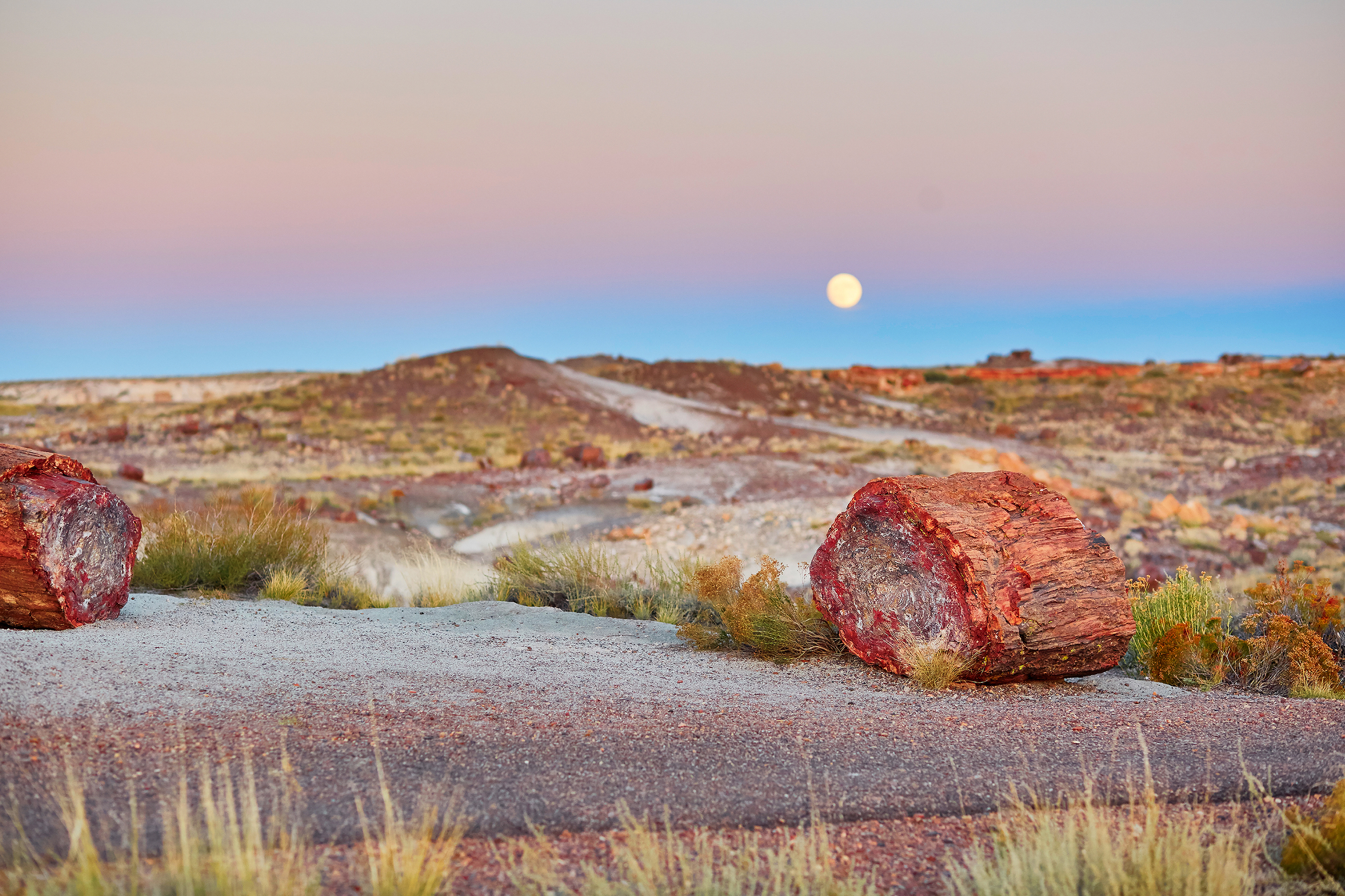 Colorful sunset with red petrified logs on the ground at Petrified Forest National Park