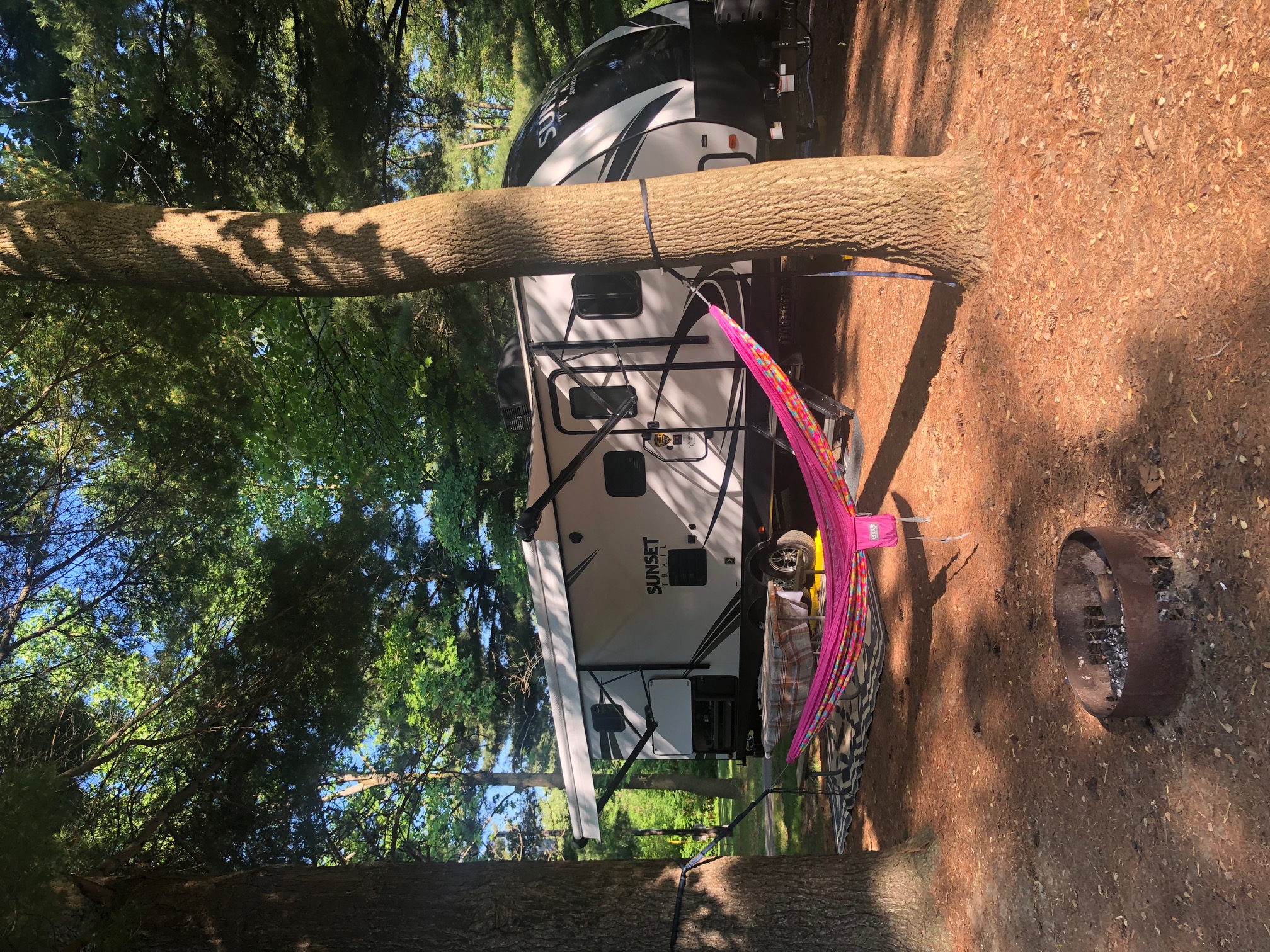 A sun dappled campsite with a hammock hung in front of an RV.