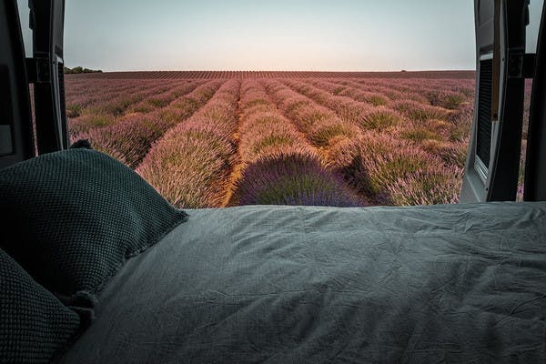 A view from inside a van with a bed in the frame, looking out into the lavender fields of the Valensole area in France.
