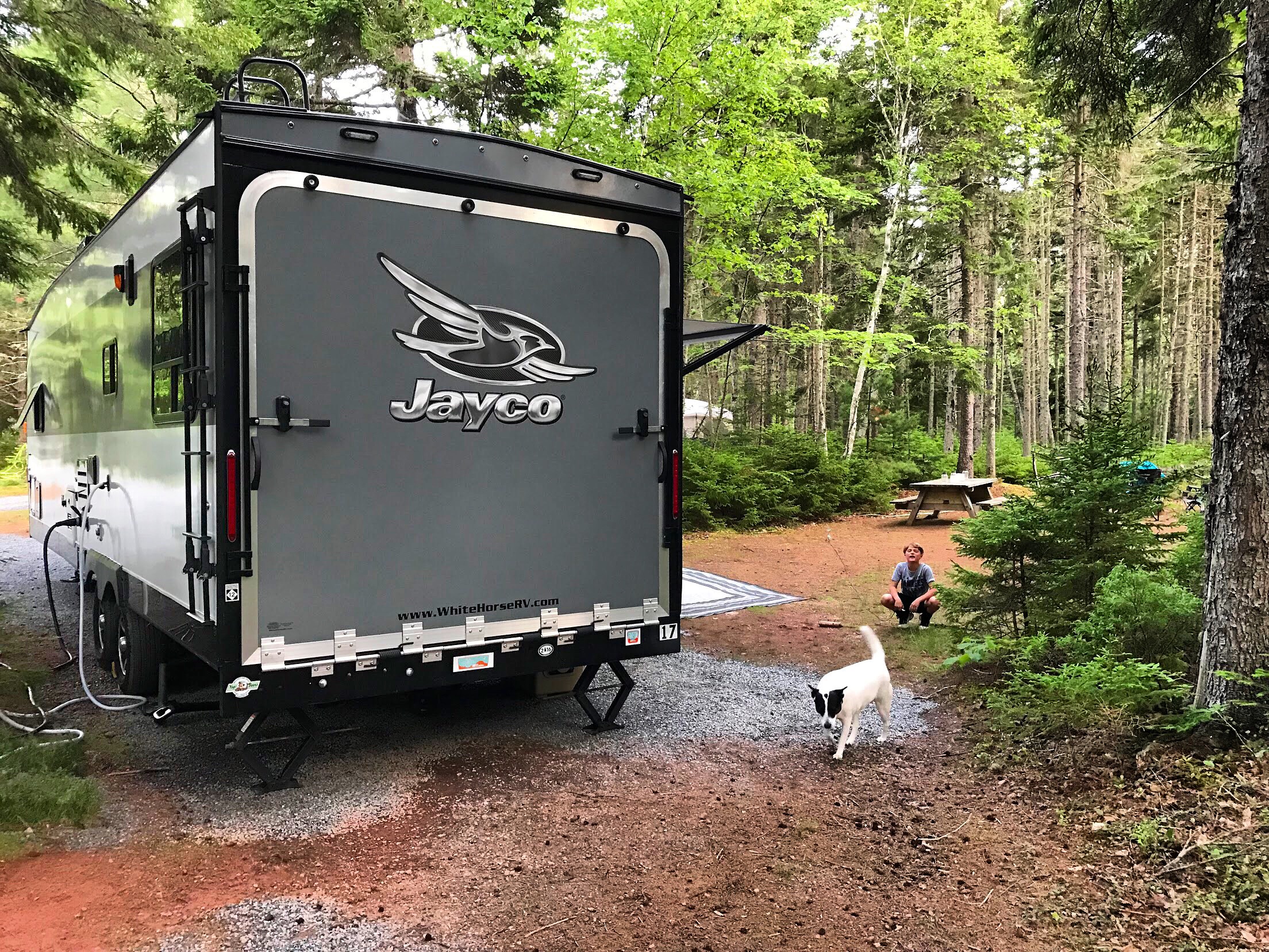 A dog and a boy play at a campground near the Toy Hauler. 