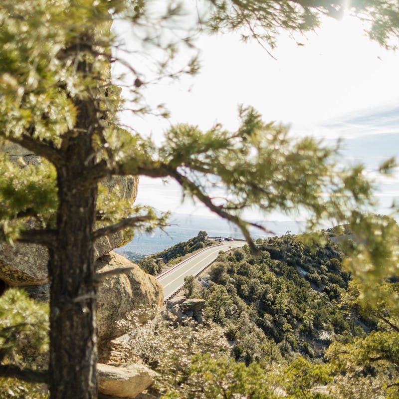 Landscape image of a view from a mountain top overlooking a forest with a road in the distance. 
