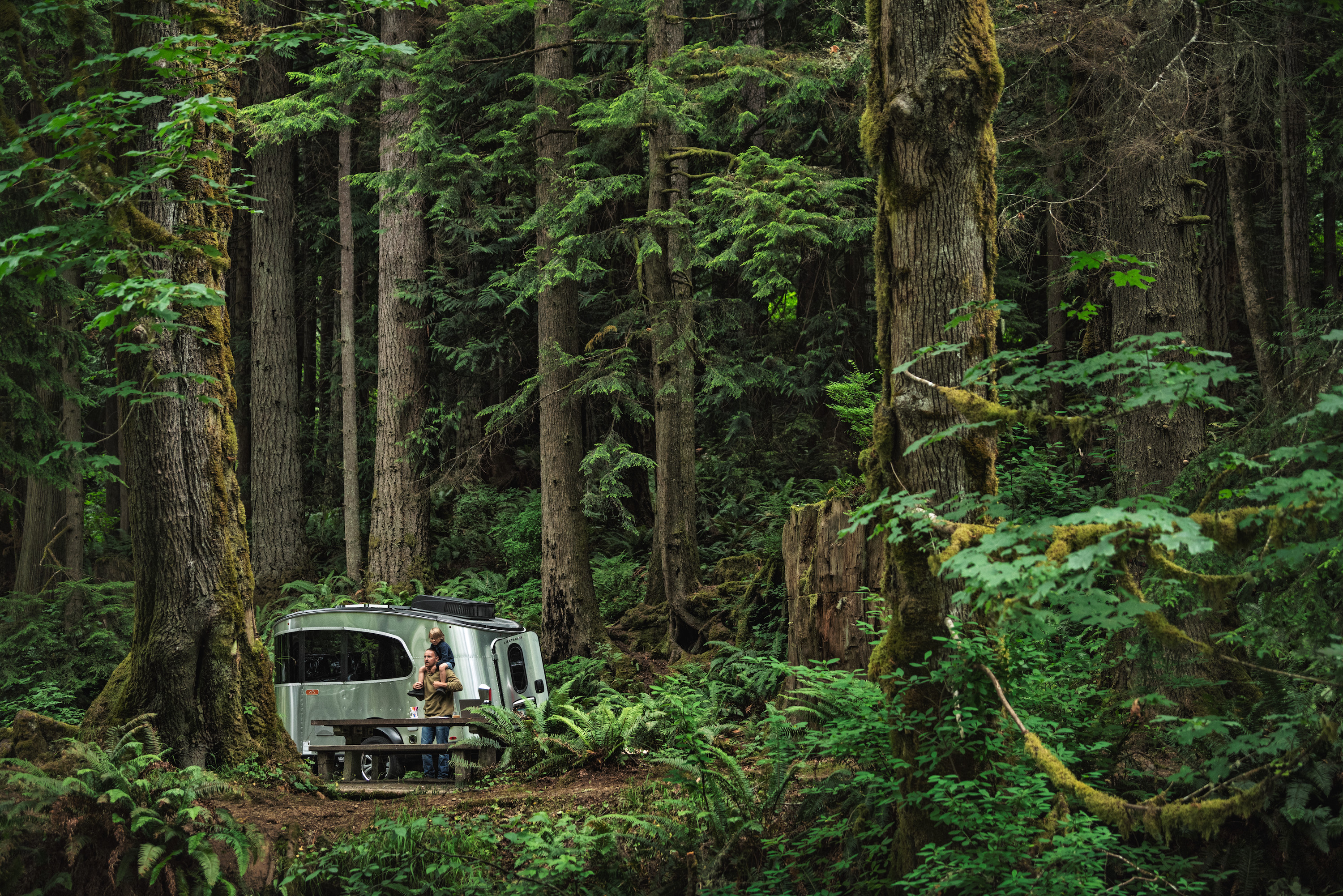 The Best RVs for Beginners