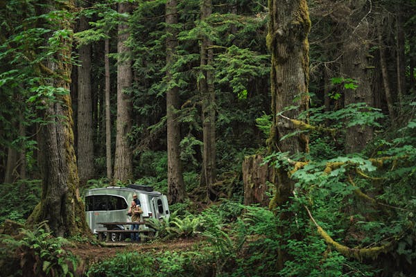 The Best RVs for Beginners