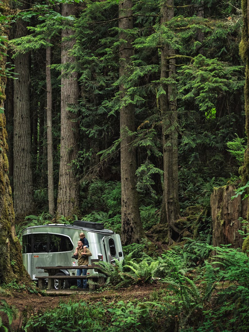 The Best RVs for Beginners