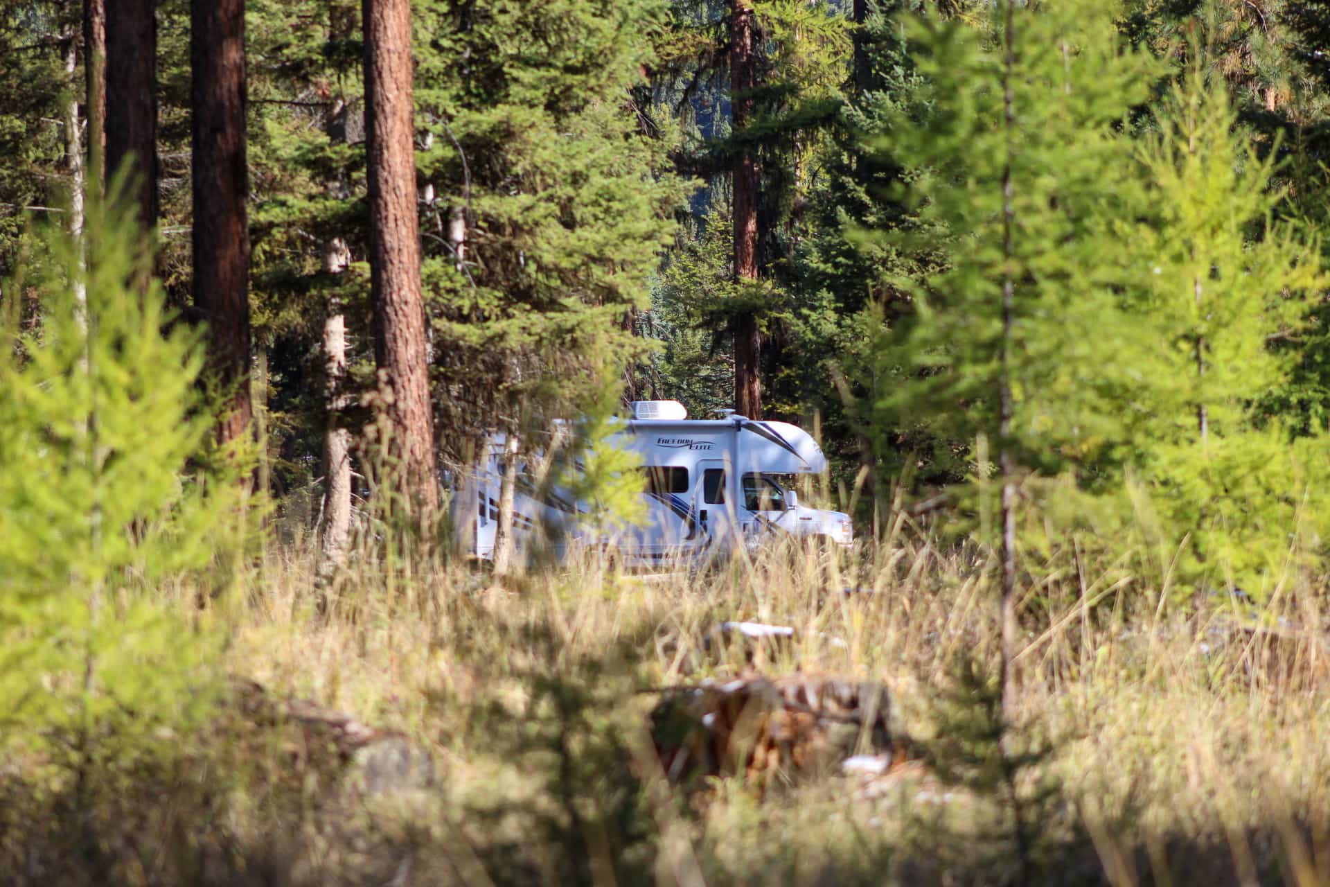 Class C RV partially hidden among green trees and tall, brown grass