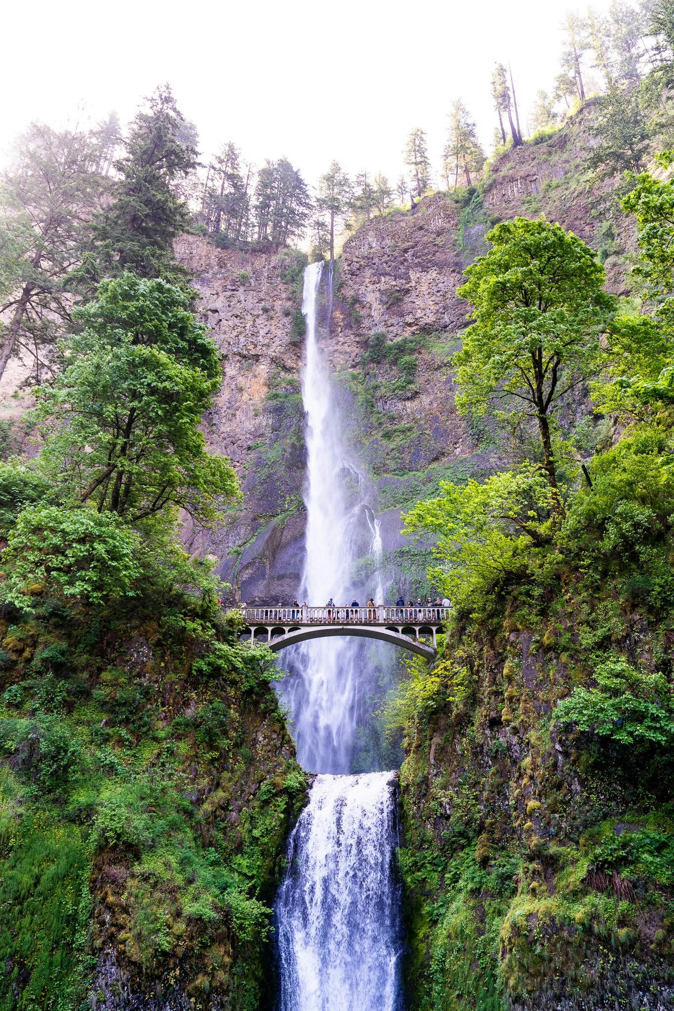 Kristy Dobie's photo of Multnomah Falls