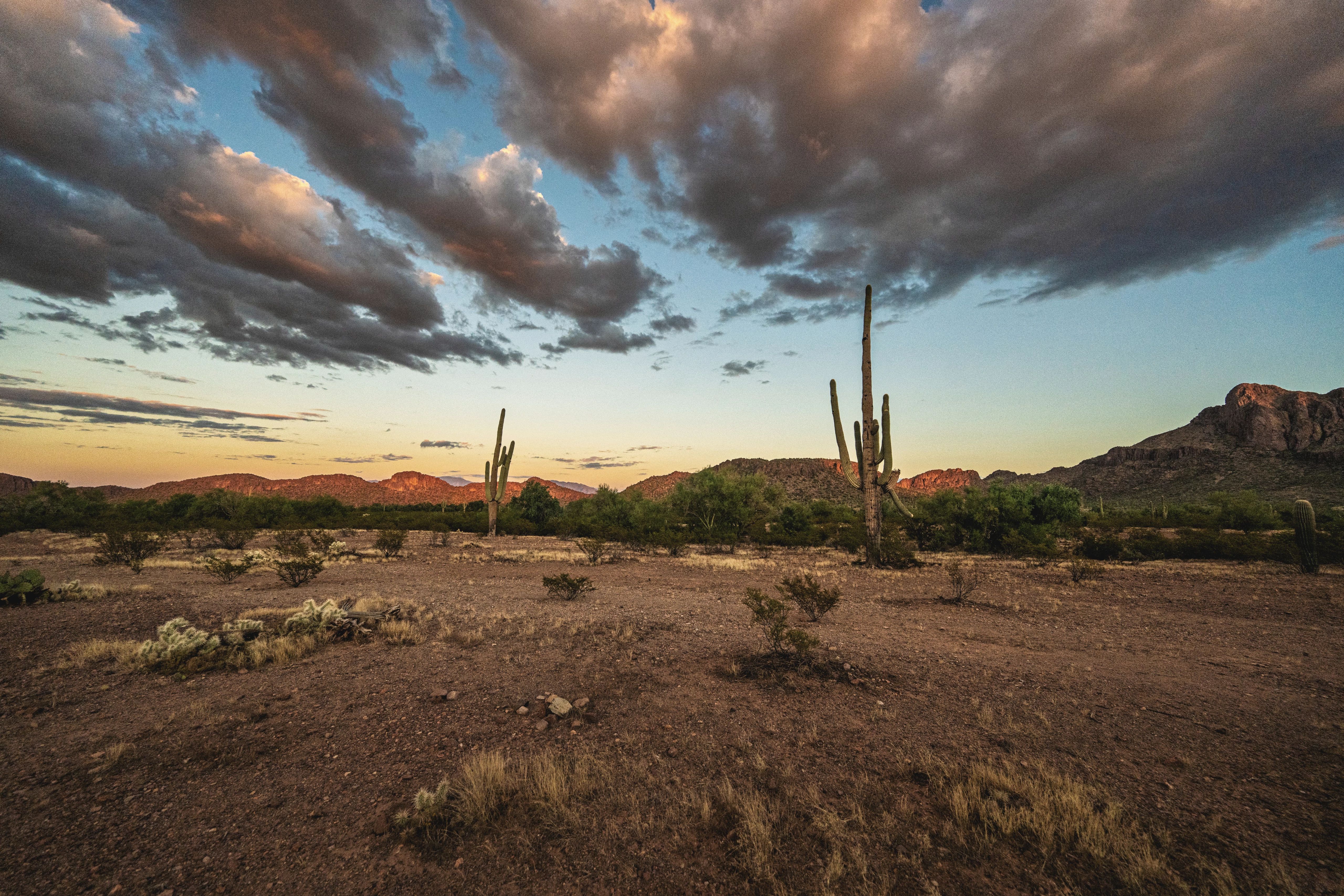 A desert landscape in Arizona