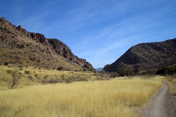 A view of rocky hills and tallgrass in Coronado National Forest (National Forest Foundation)