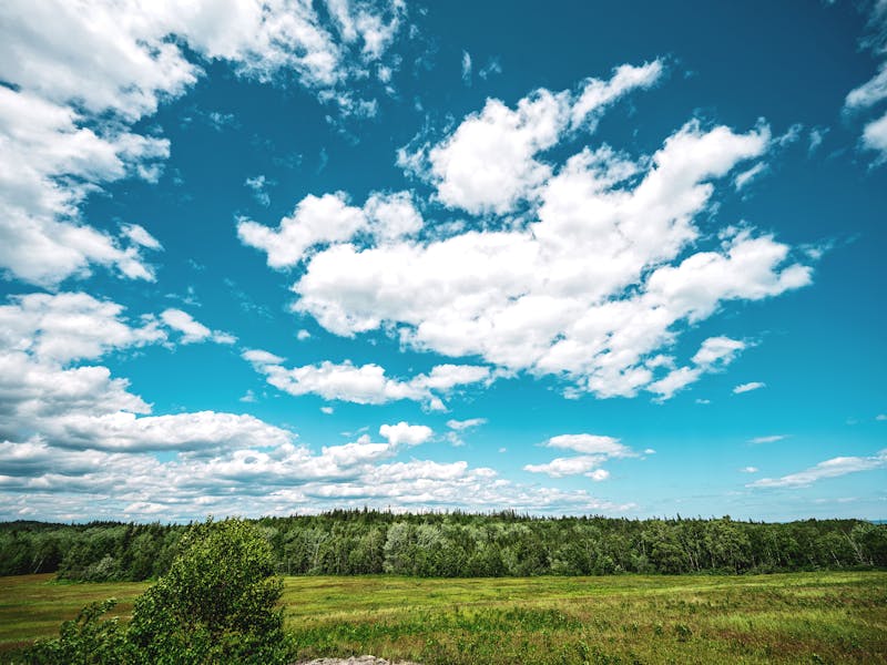 A landscape of a blue sky with clouds and lush green grass and trees.