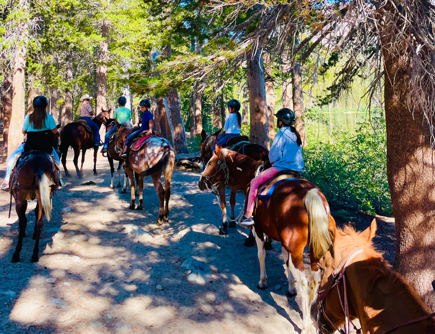 BRENDA & TIGER's group trip on a horse back ride