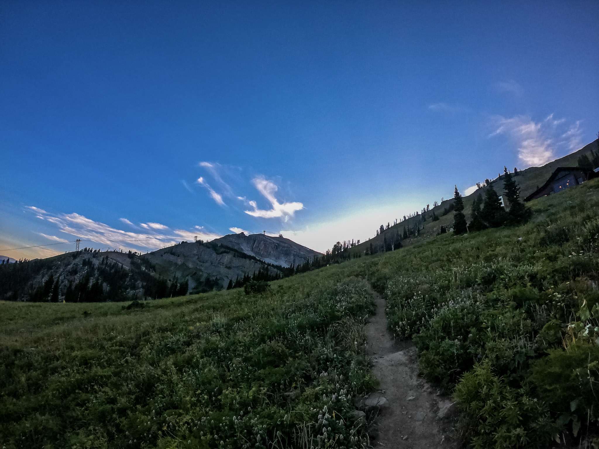 A dirt path through a field of wildflowers at the base of some mountains. 