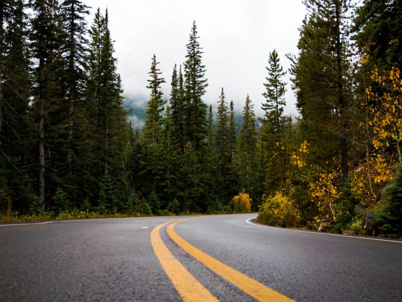 empty road winds through fall trees