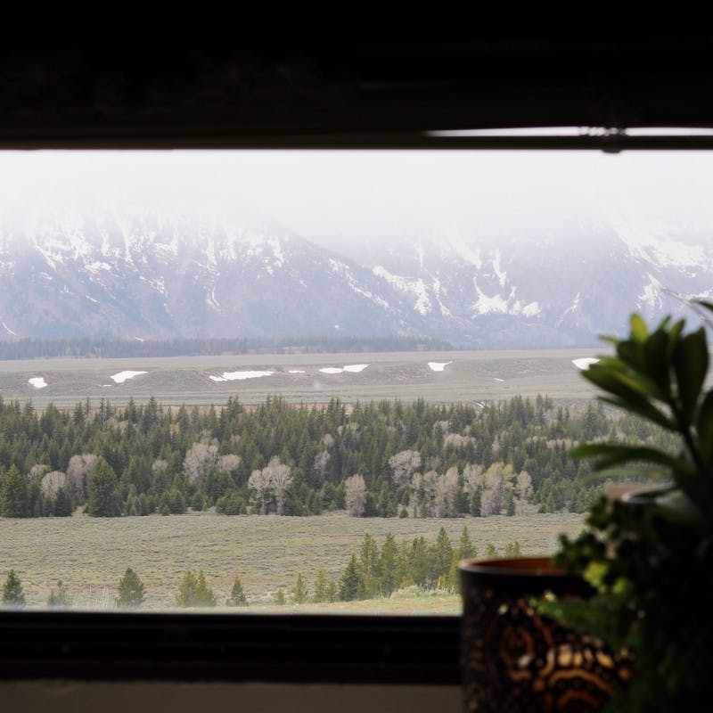 View from inside with a plant, looking out RV window of grassy plains, pine trees and snowy mountains.
