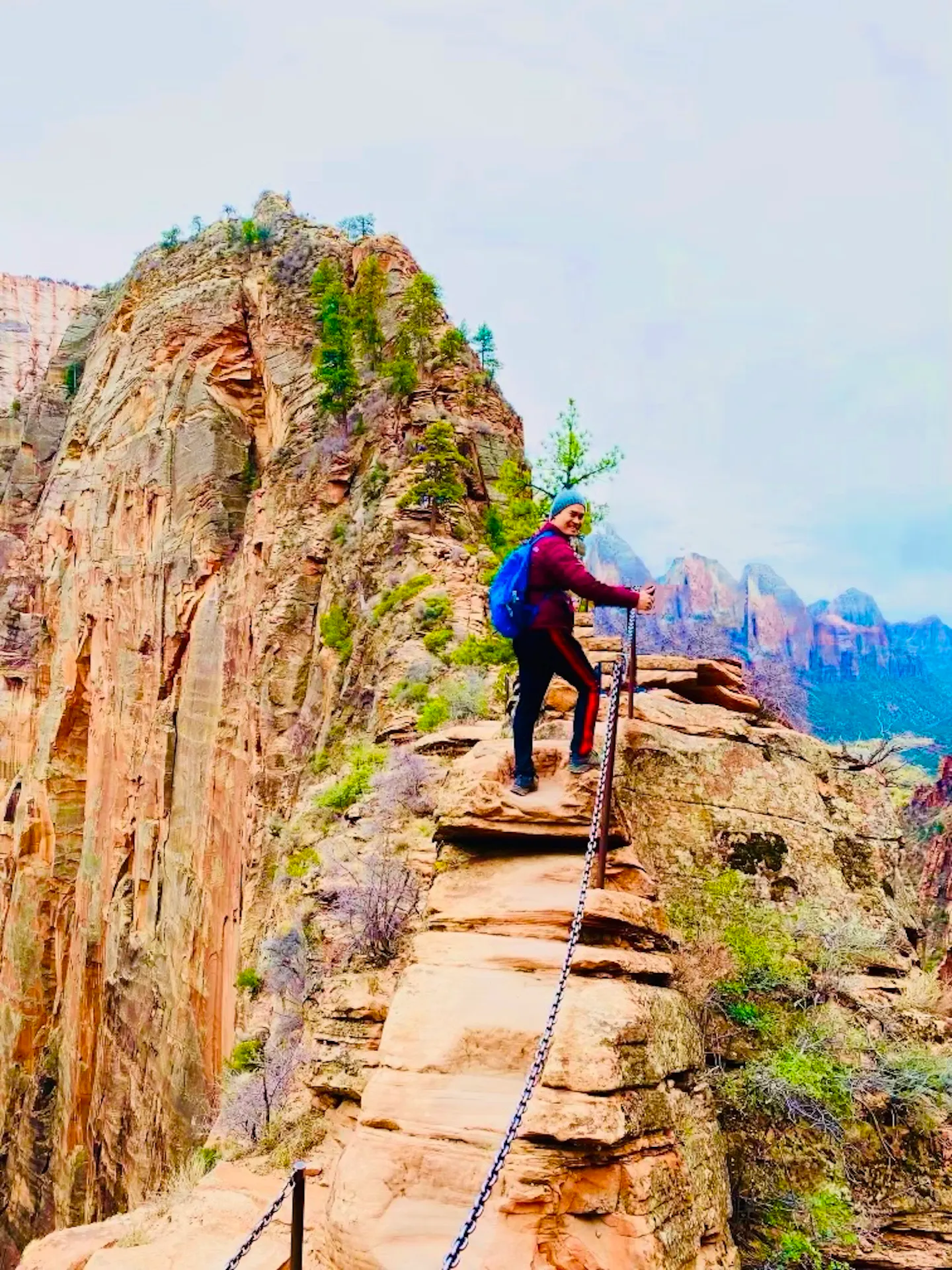Tiger on a hike in Arizona