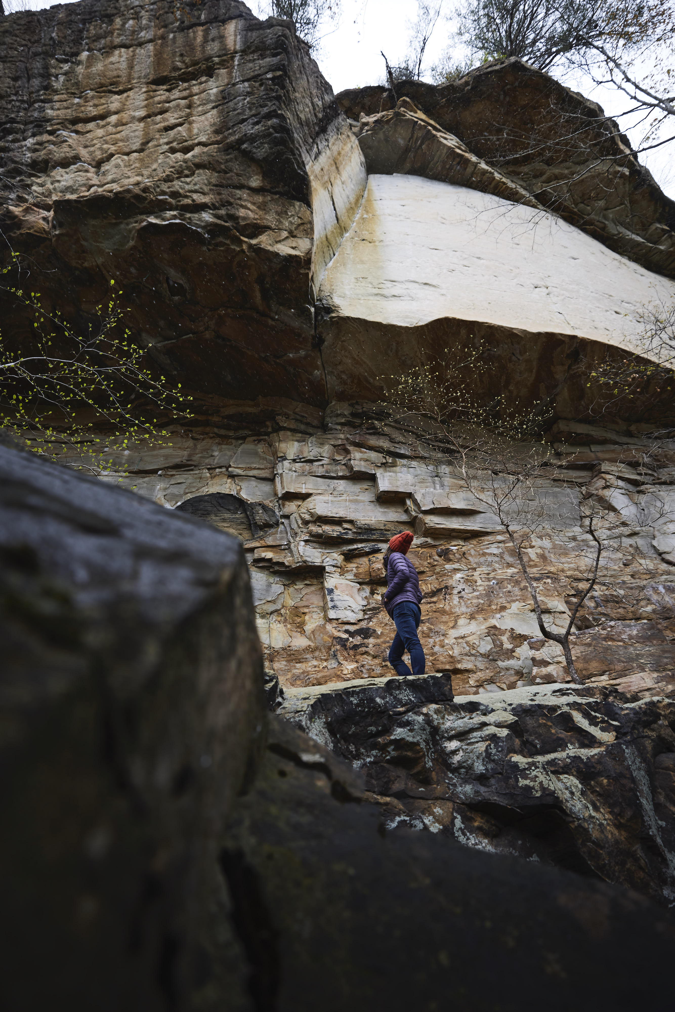 Kathy Karlo looking up at "The Greatest Show" in the New River Gorge in West Virginia