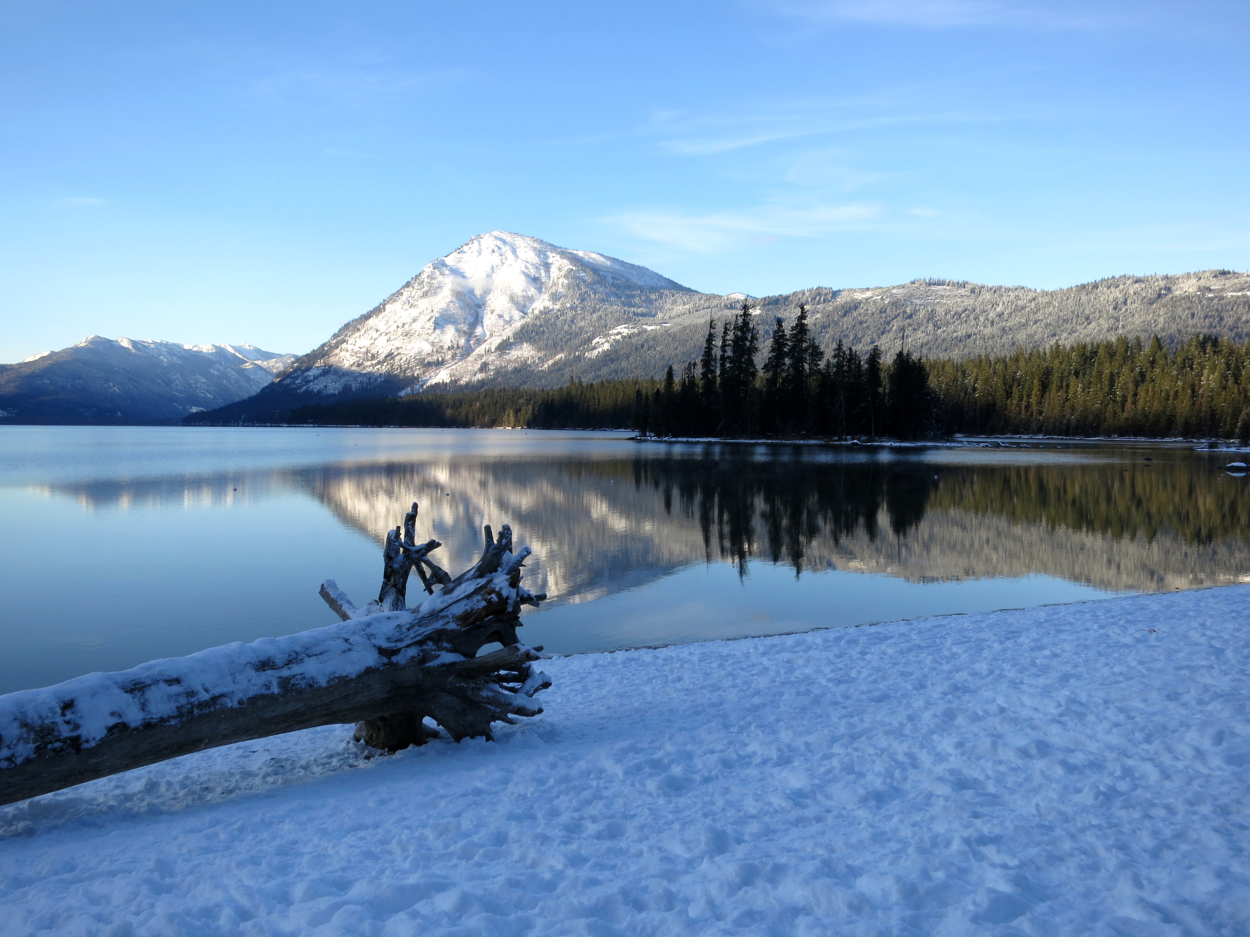 Snowy fallen log next to a large lake with a tall, snowy mountain peak in the background
