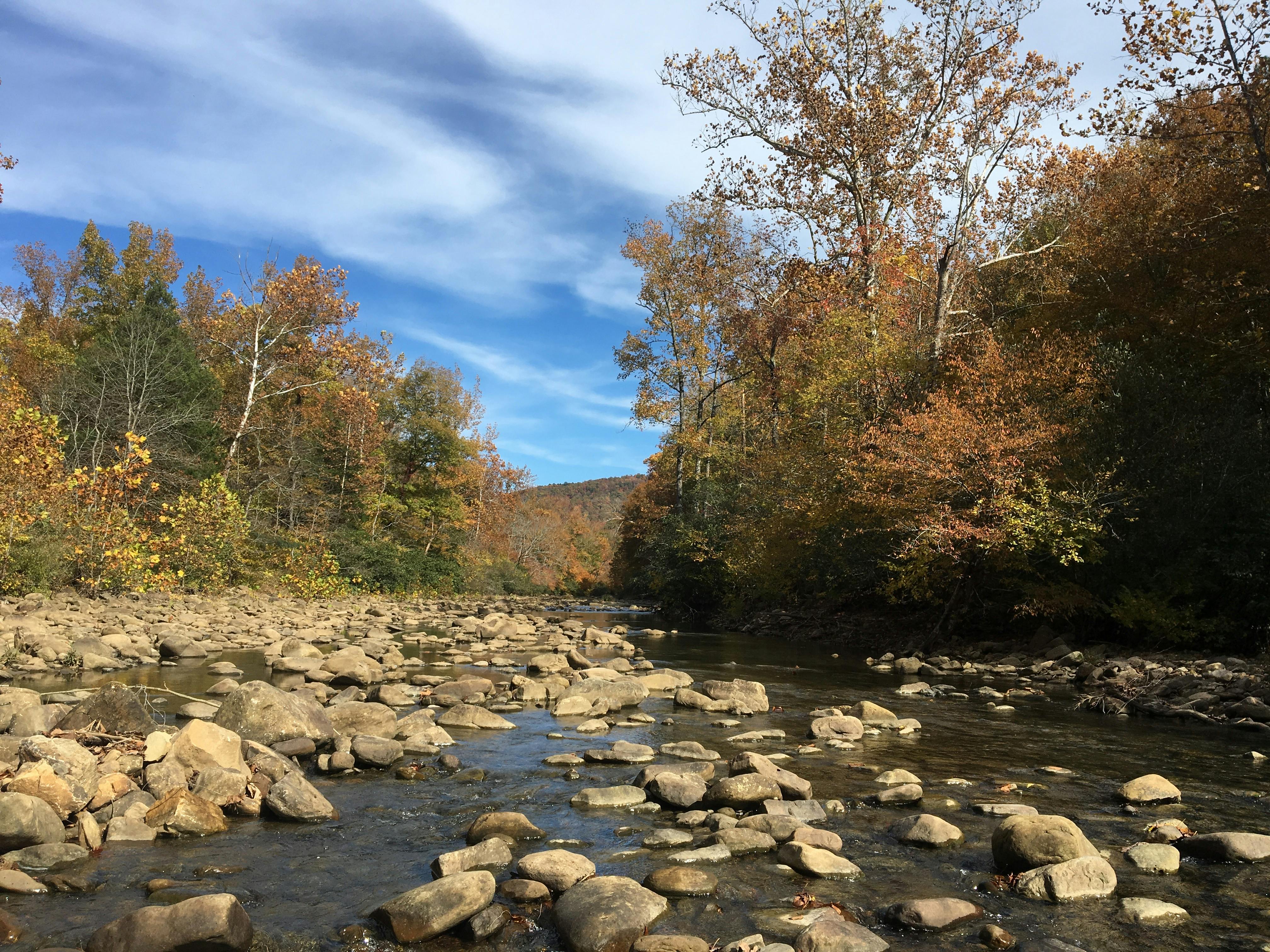 A view of the Creek Wild & Scenic River in the Ozark-St. Francis National Forest.