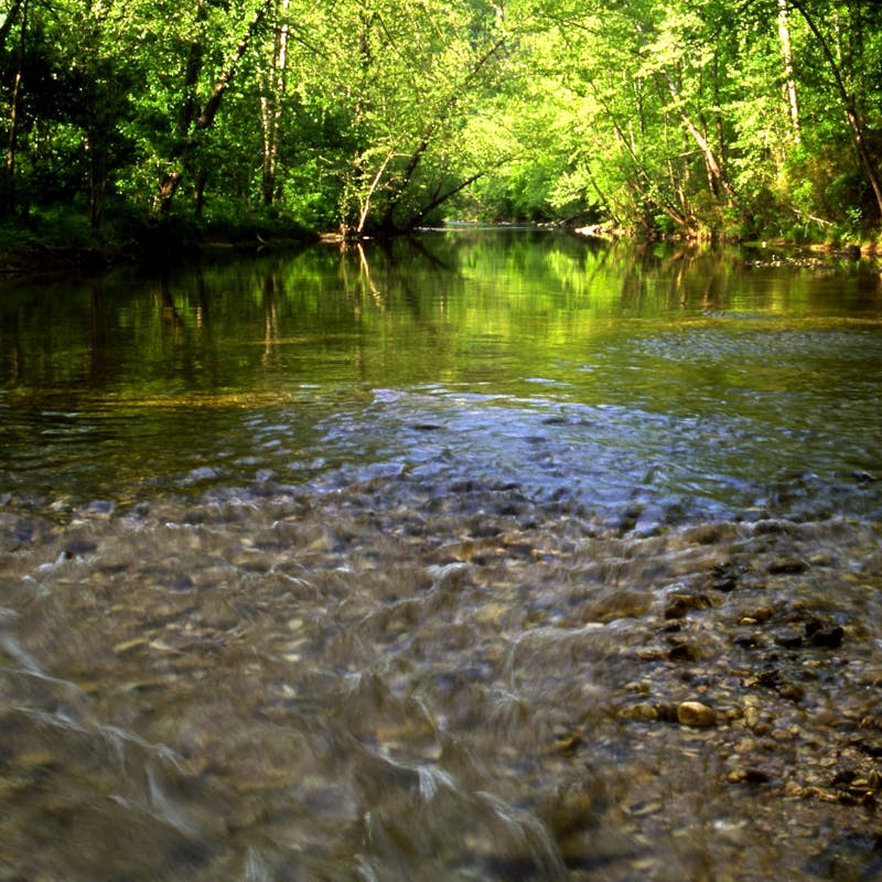 A view of North Sylamore Creek in Ozark-St. Francis National Forest.