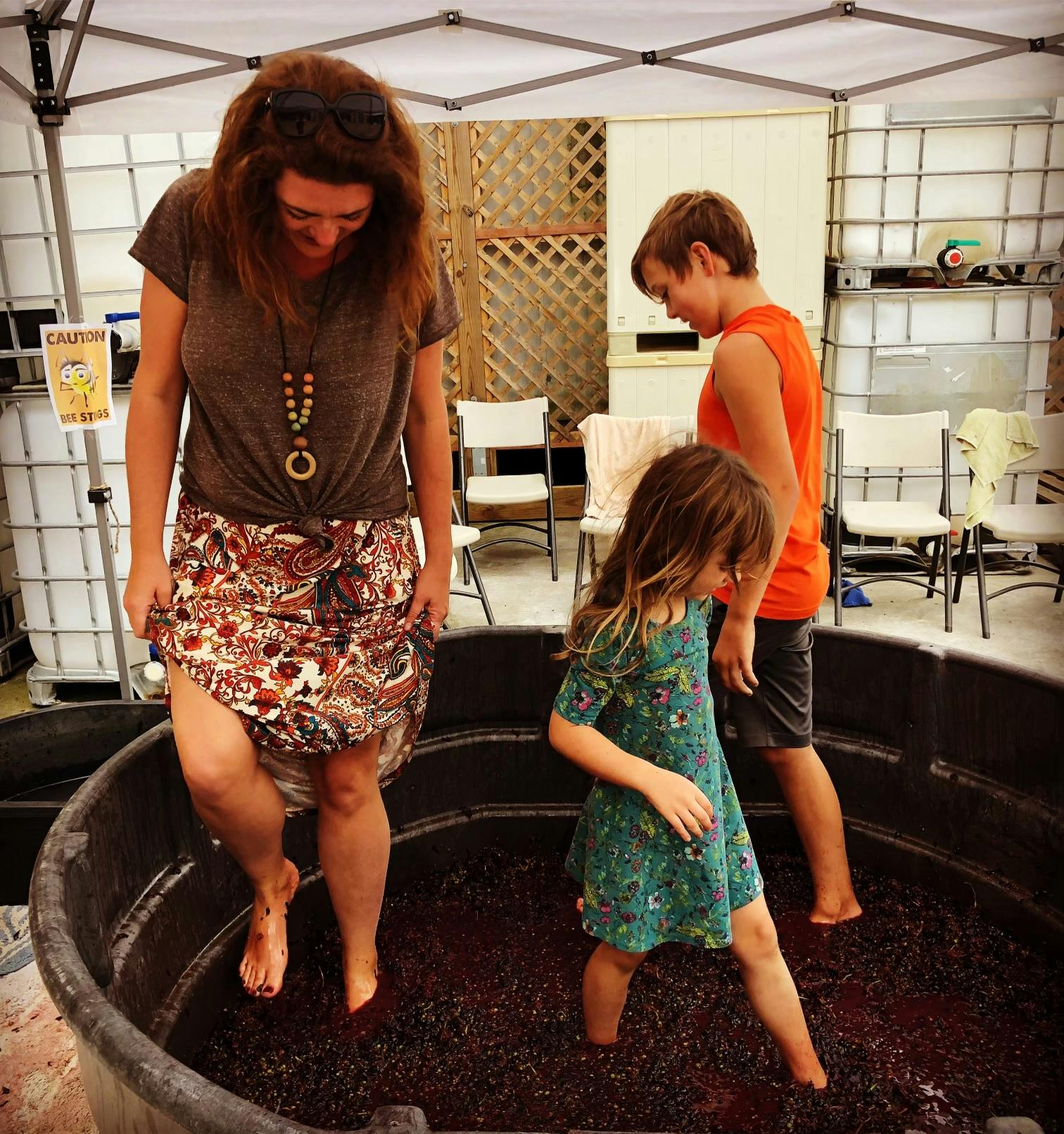 Melissa Lahr and her kids stomp grapes.