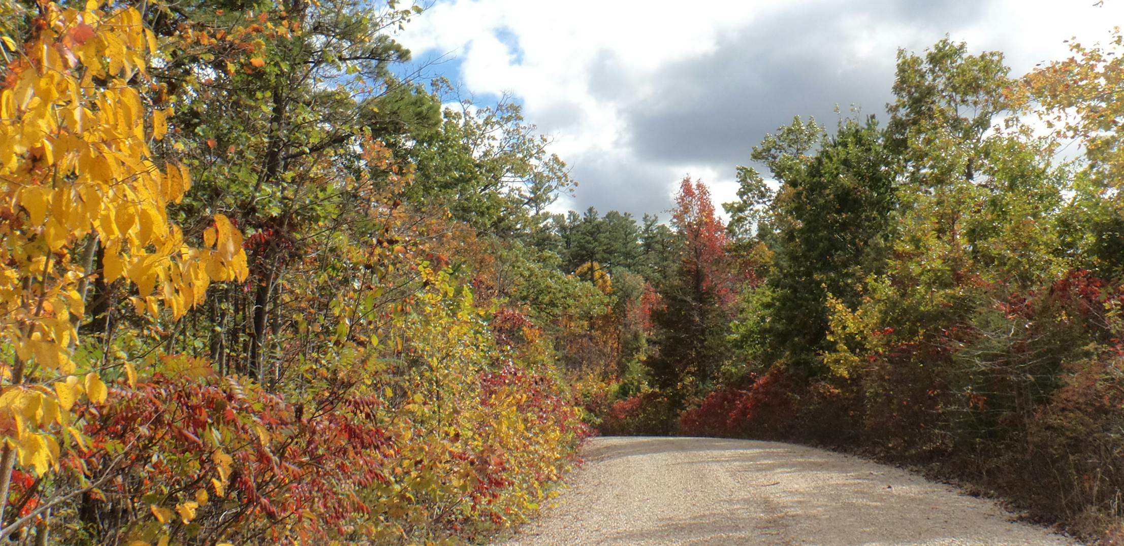 Buick Truck Trail (a dirt path) with fall foliage in Mark Twain National Forest.