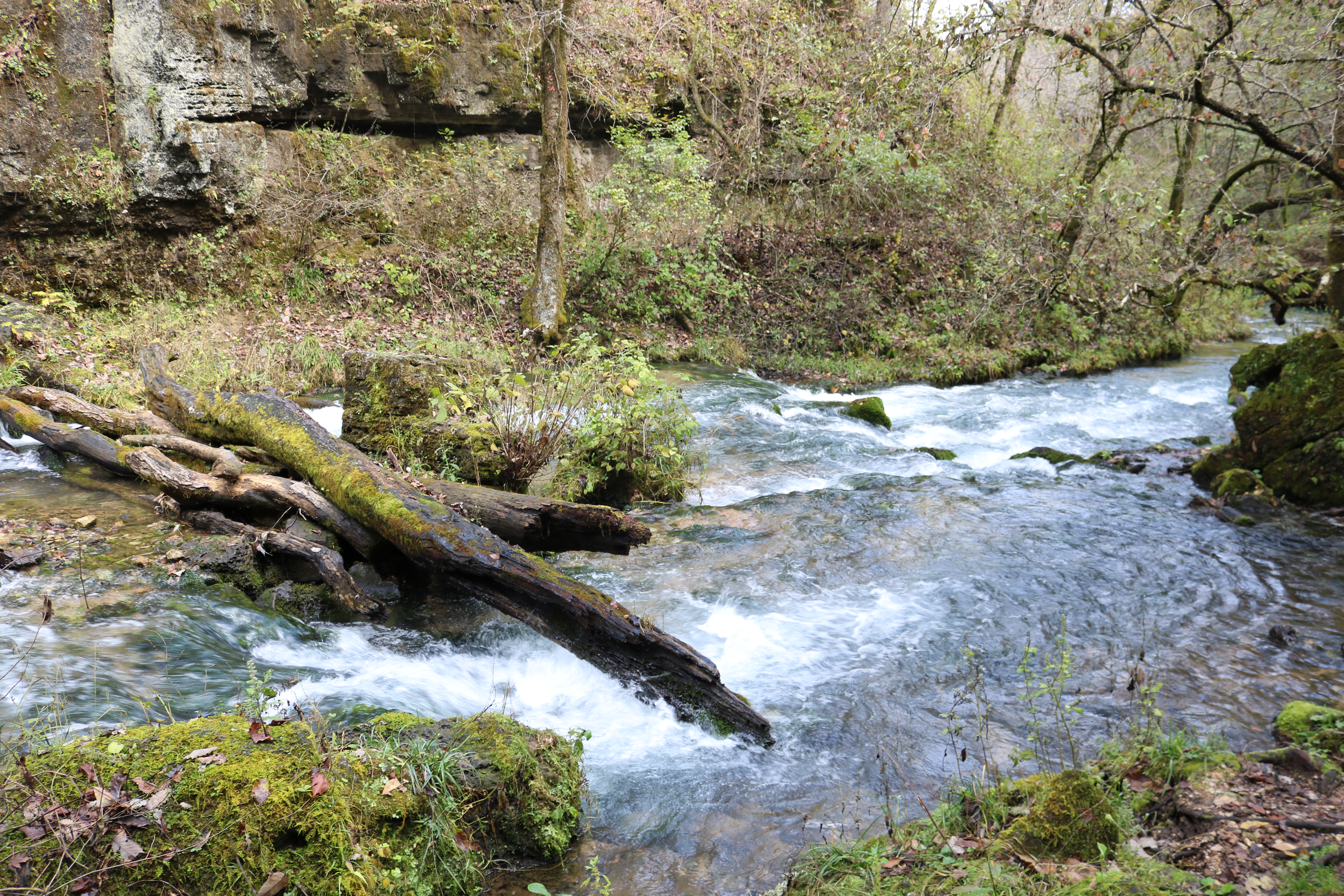 A flowing river off of Greer Spring Trail in Mark Twain National Forest.