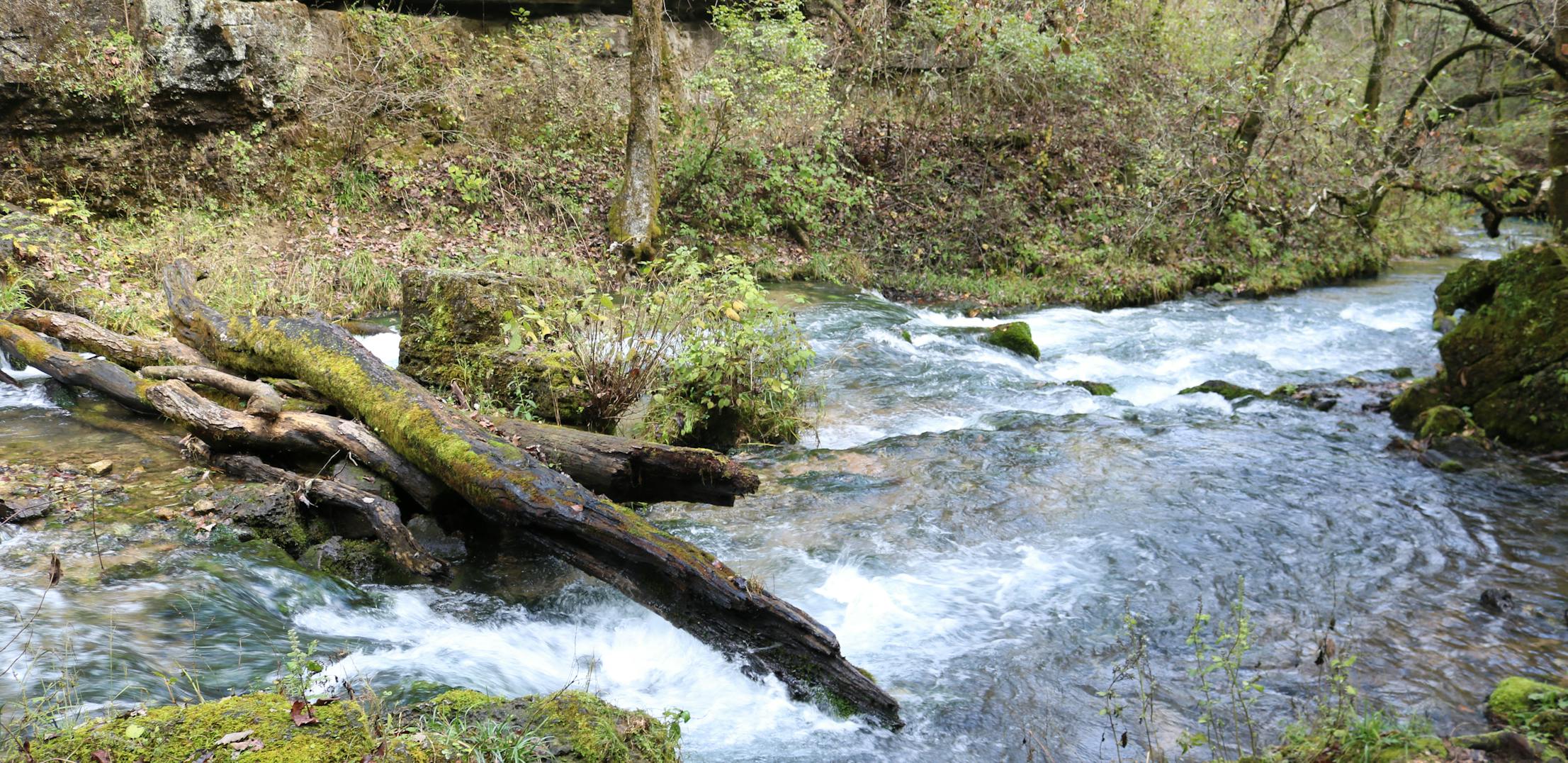 A flowing river off of Greer Spring Trail in Mark Twain National Forest.