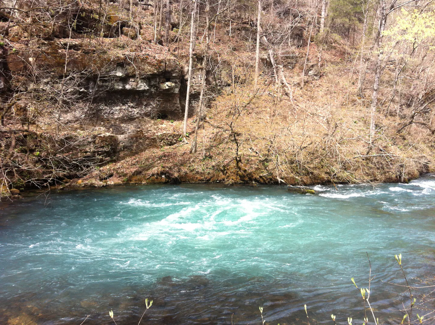 Greer Springs in Mark Twain National Forest.