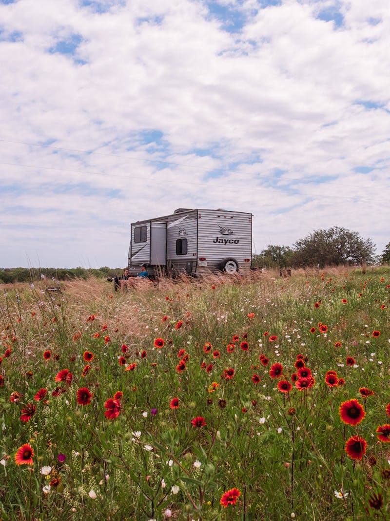 The Takacs family Jayco Jay Flight travel travel in a wildflower field.
