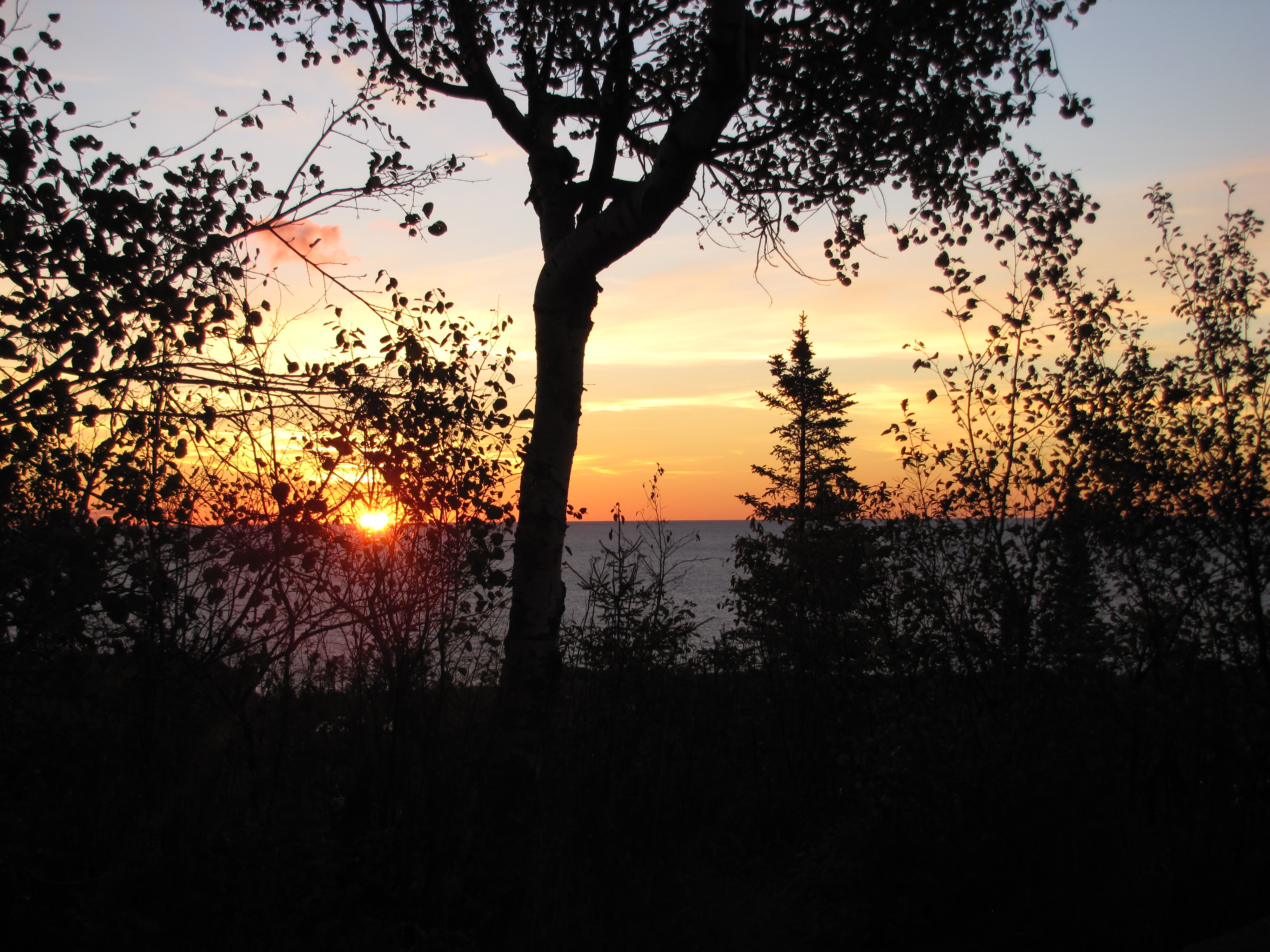 The sun rises over the trees in Superior National Forest.