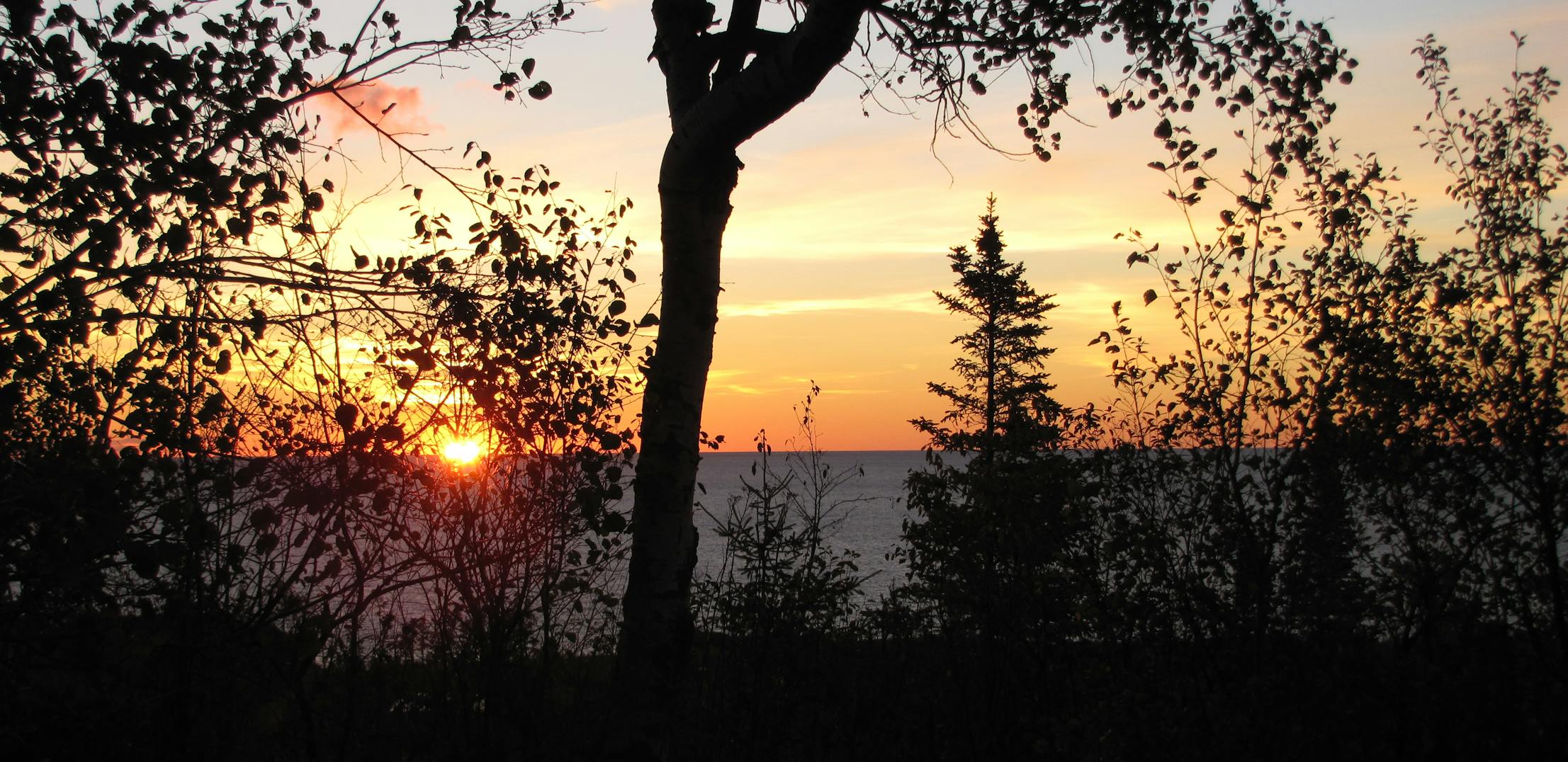 The sun rises over the trees in Superior National Forest.