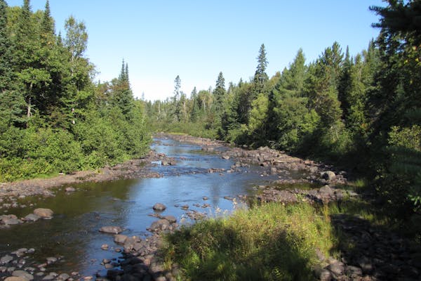 Temperence River is lined with trees in Superior National Forest.