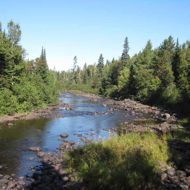 Temperence River is lined with trees in Superior National Forest.