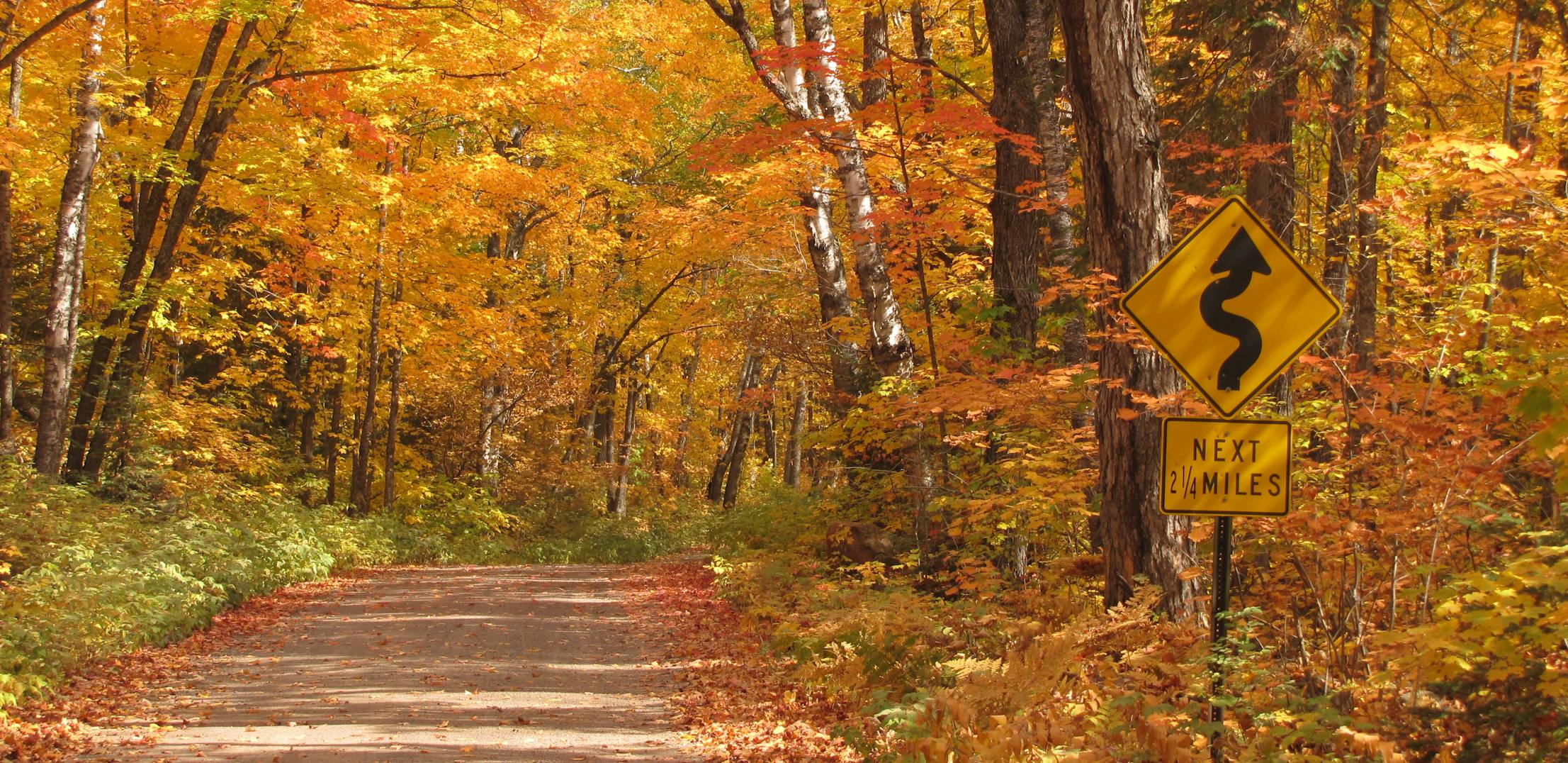 A road leads into Superior National Forest, featuring fall foliage colors of orange and yellow.