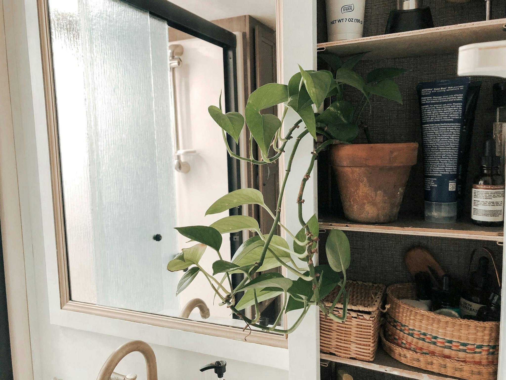 The bathroom mirror and a plant inside Bibi and JC Barringer's KZ Durango Gold fifth wheel.