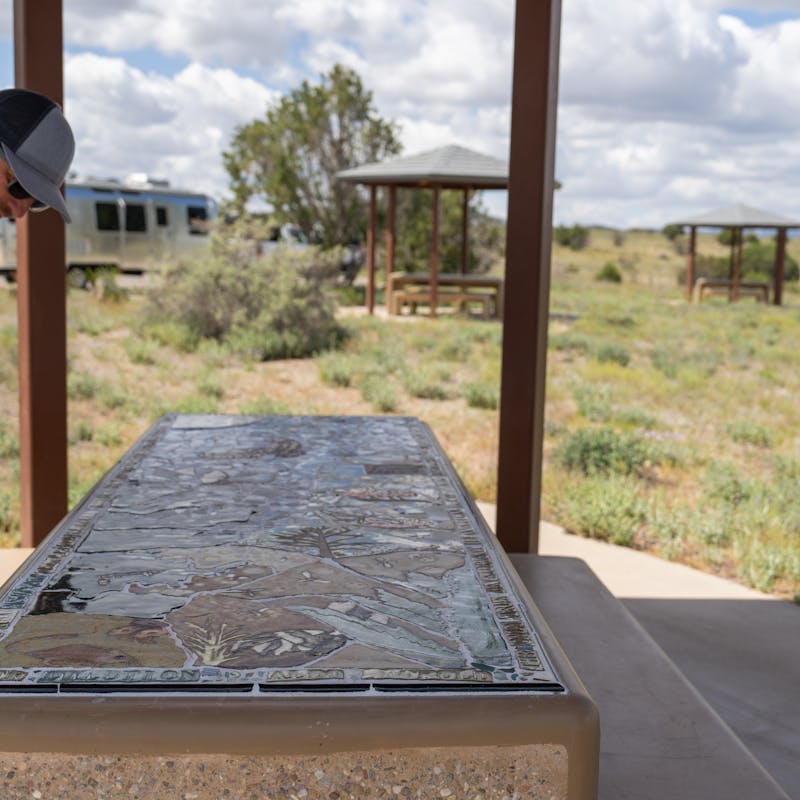 Lenny Blue observing information about Gila National Forest.