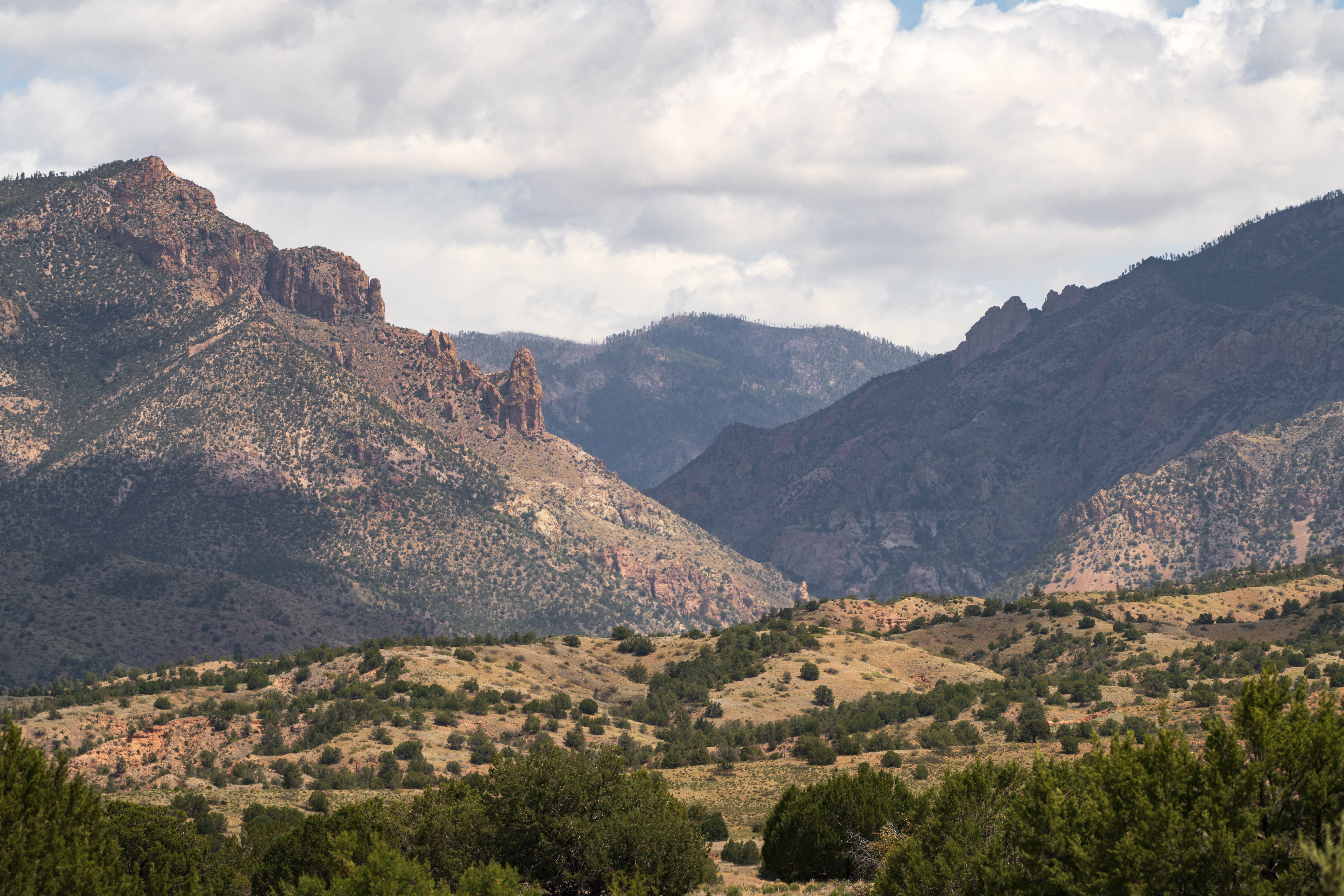 Mountain views in Gila National Forest.