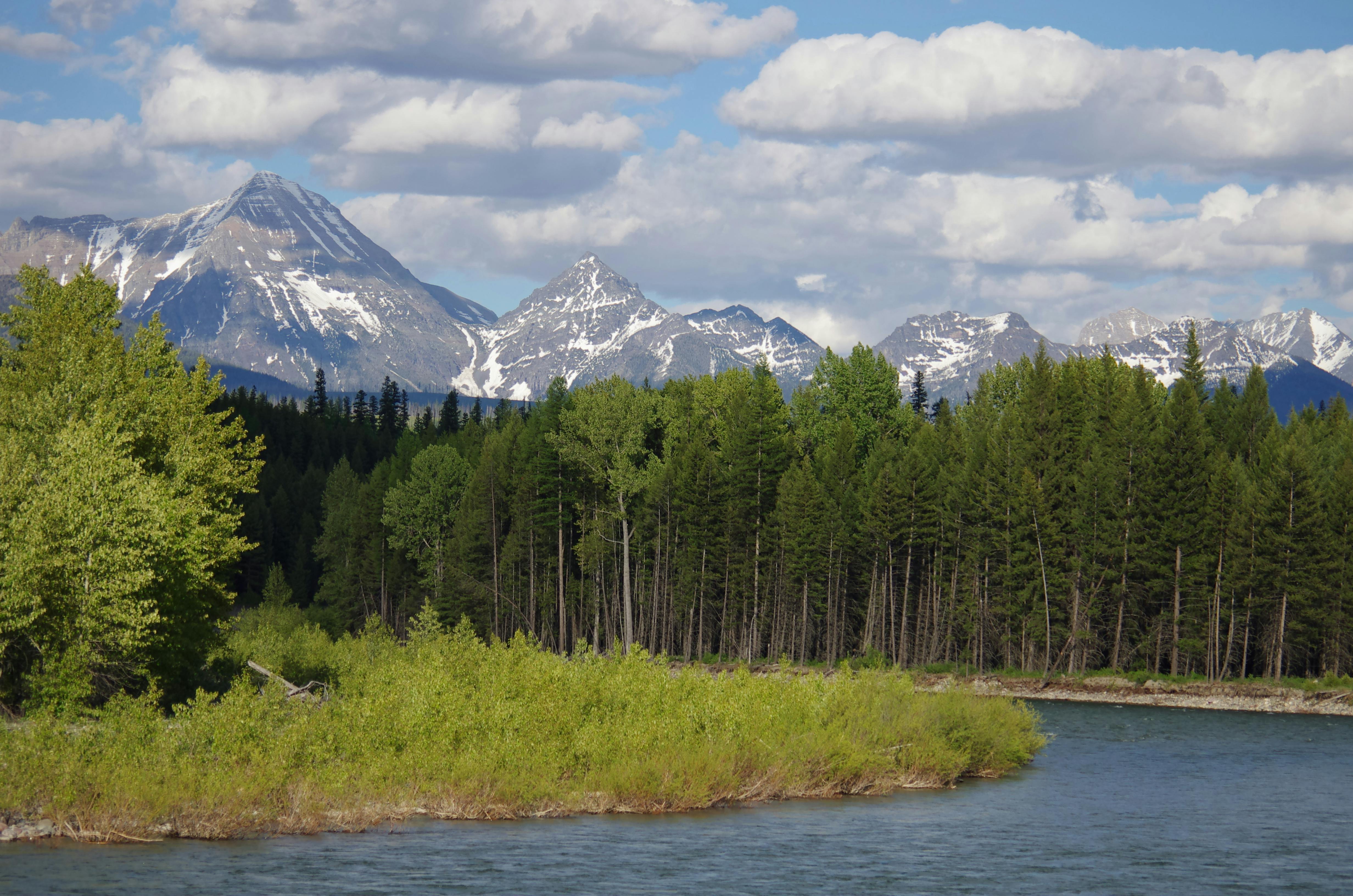 A river and snowy mountain tops in Flathead National Forest.