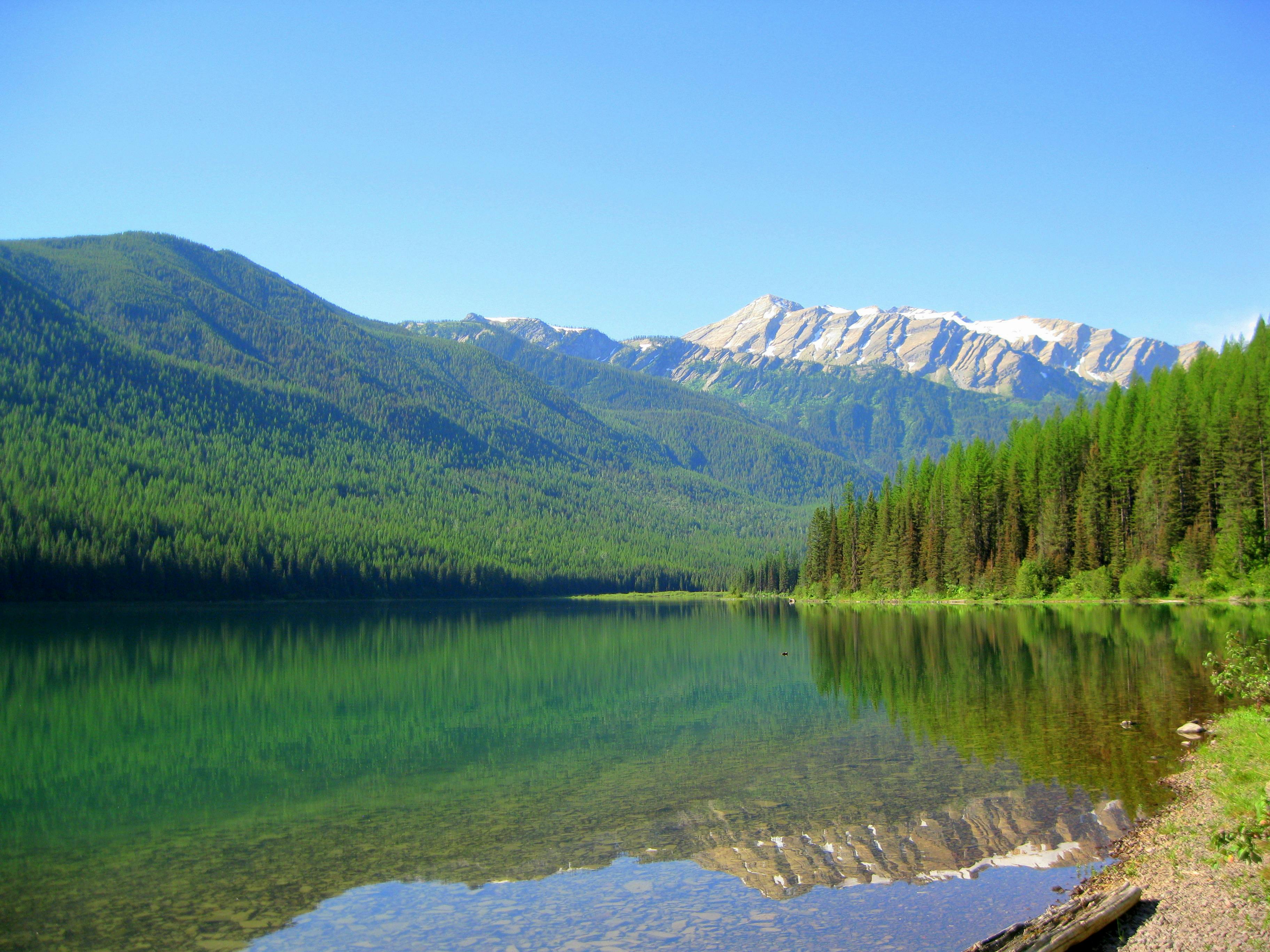 A lake and mountain landscape in Flathead National Forest.