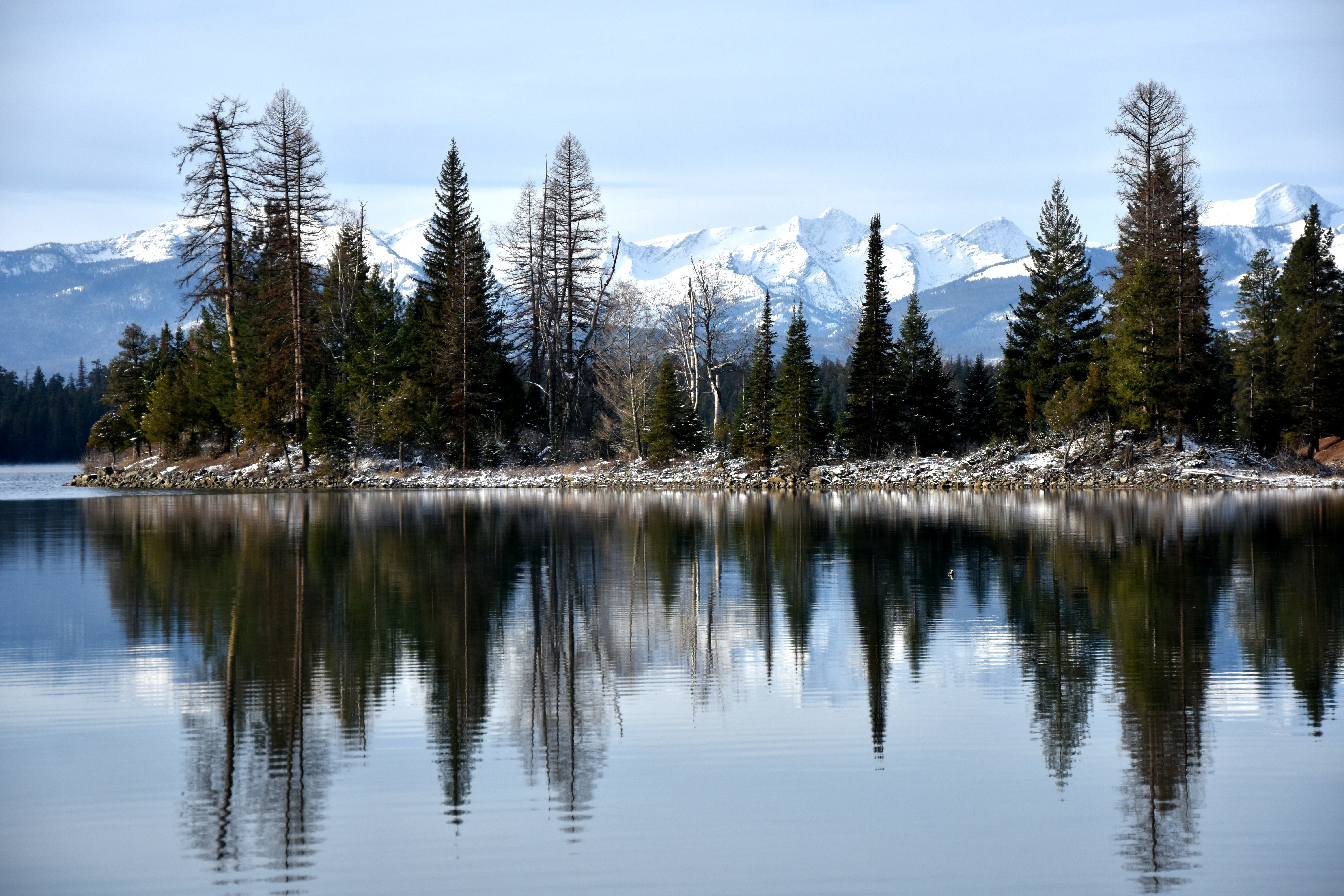 A lake and mountain views in Flathead National Forest.