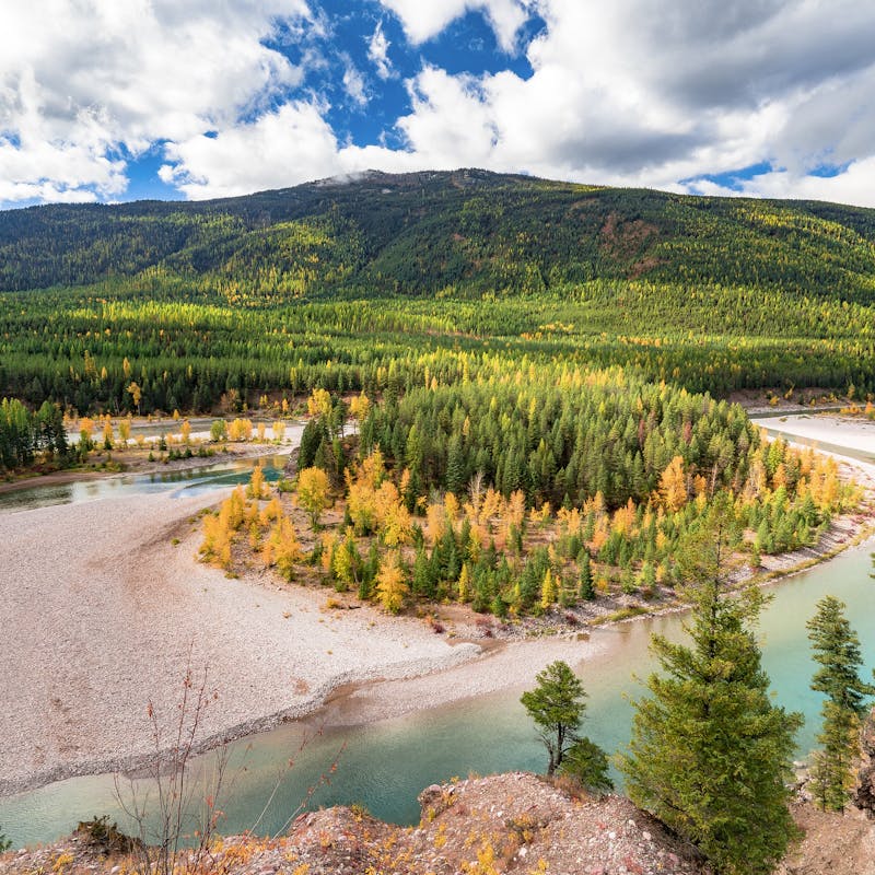 Forest and river views in Flathead National Forest.