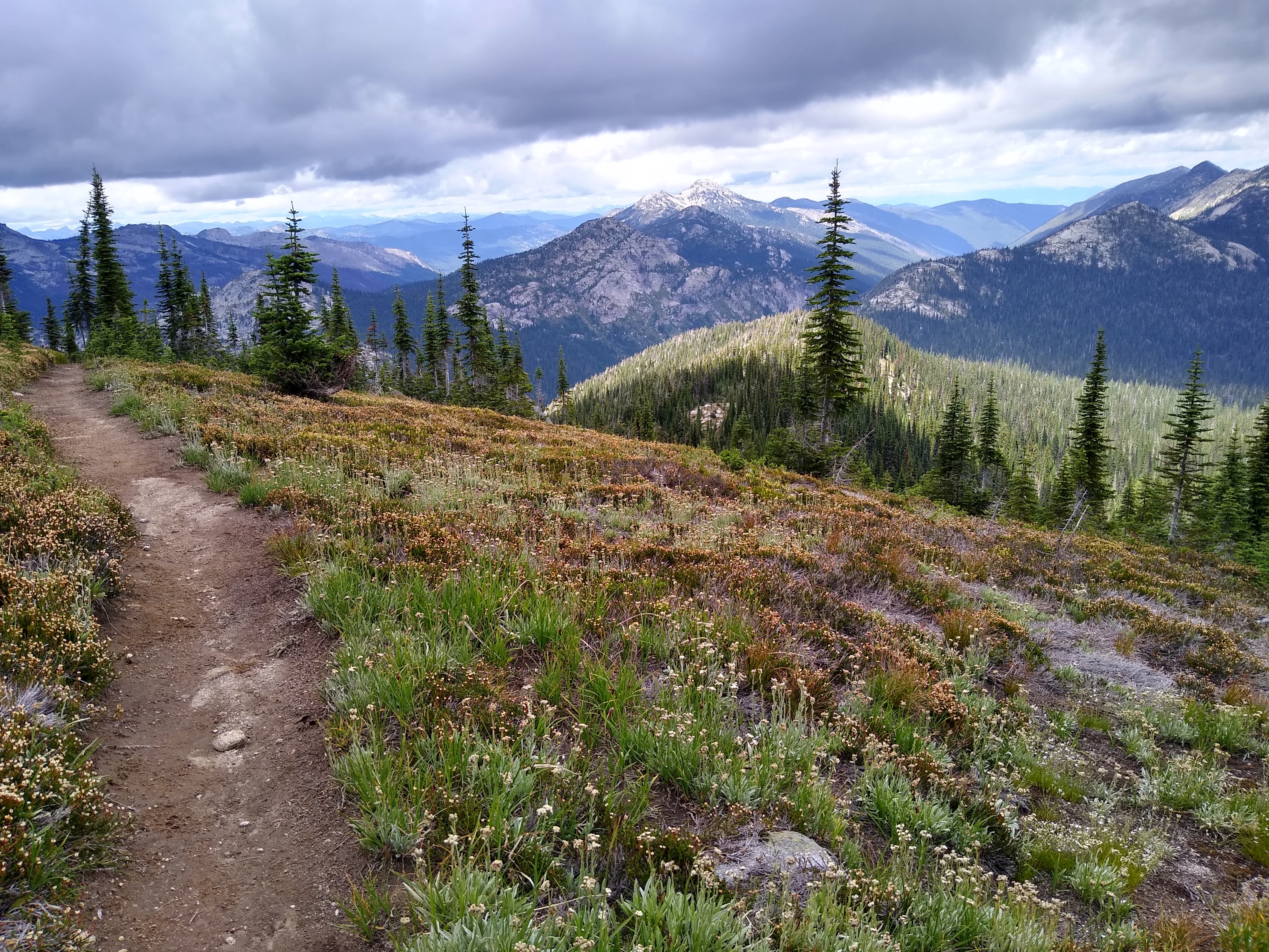 The Myrtle Trail in Bonners Ferry within the Idaho Panhandle National Forest.
