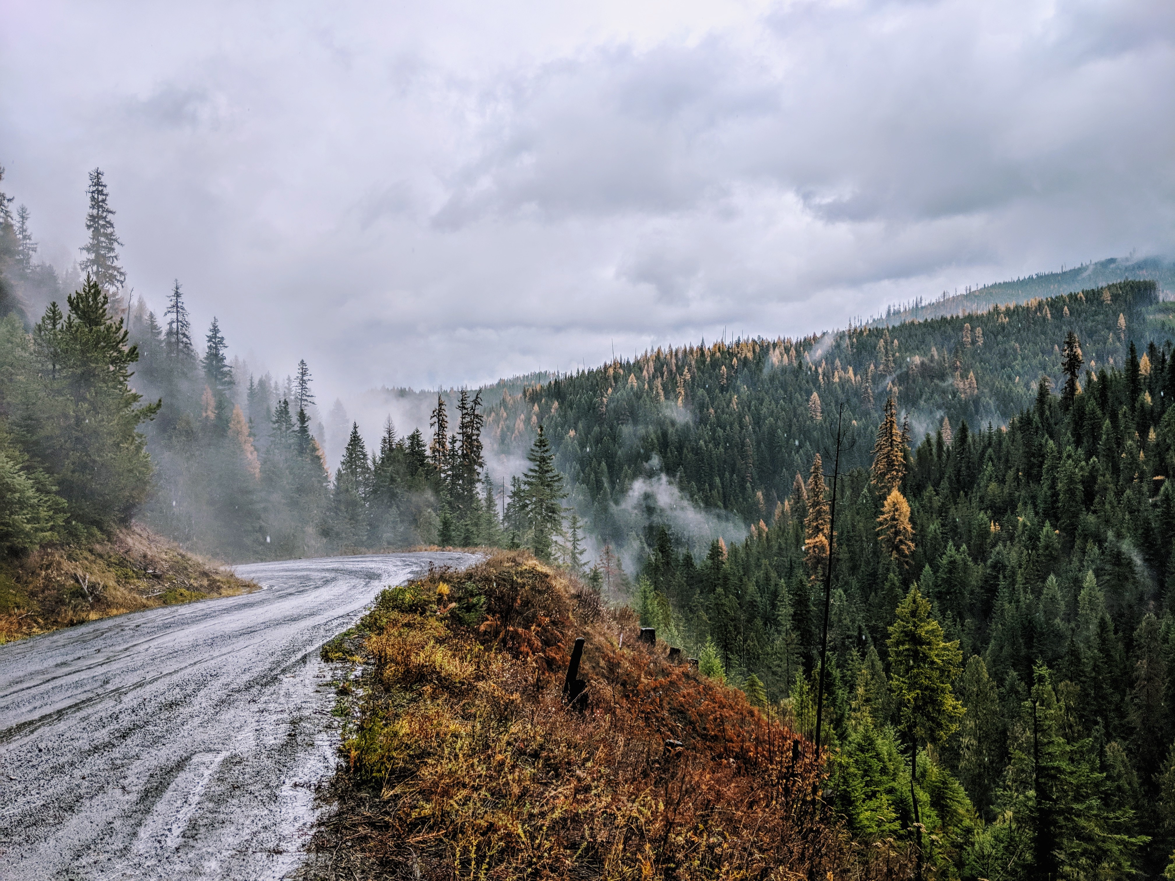 A foggy mountainside in Idaho Panhandle National Forest.