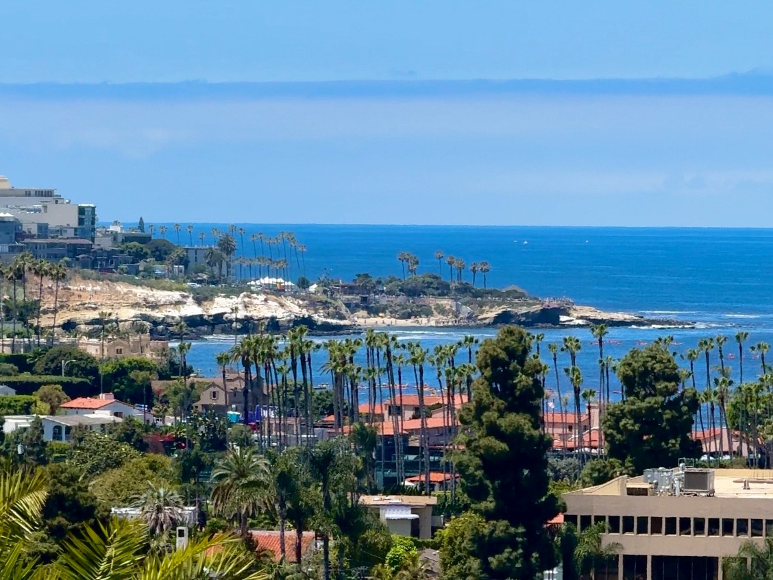 A photo of the coastline with palm tress, taken by Bailey and Nicole Damberg.