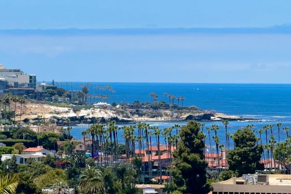 A photo of the coastline with palm tress, taken by Bailey and Nicole Damberg.