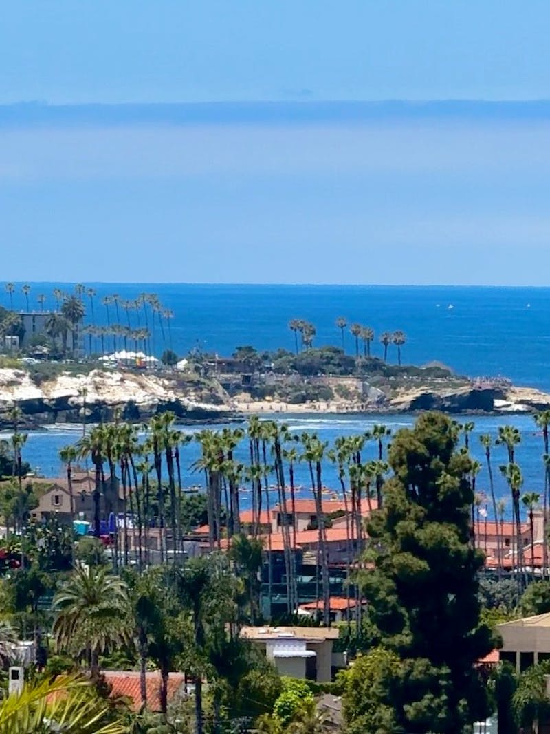 A photo of the coastline with palm tress, taken by Bailey and Nicole Damberg.